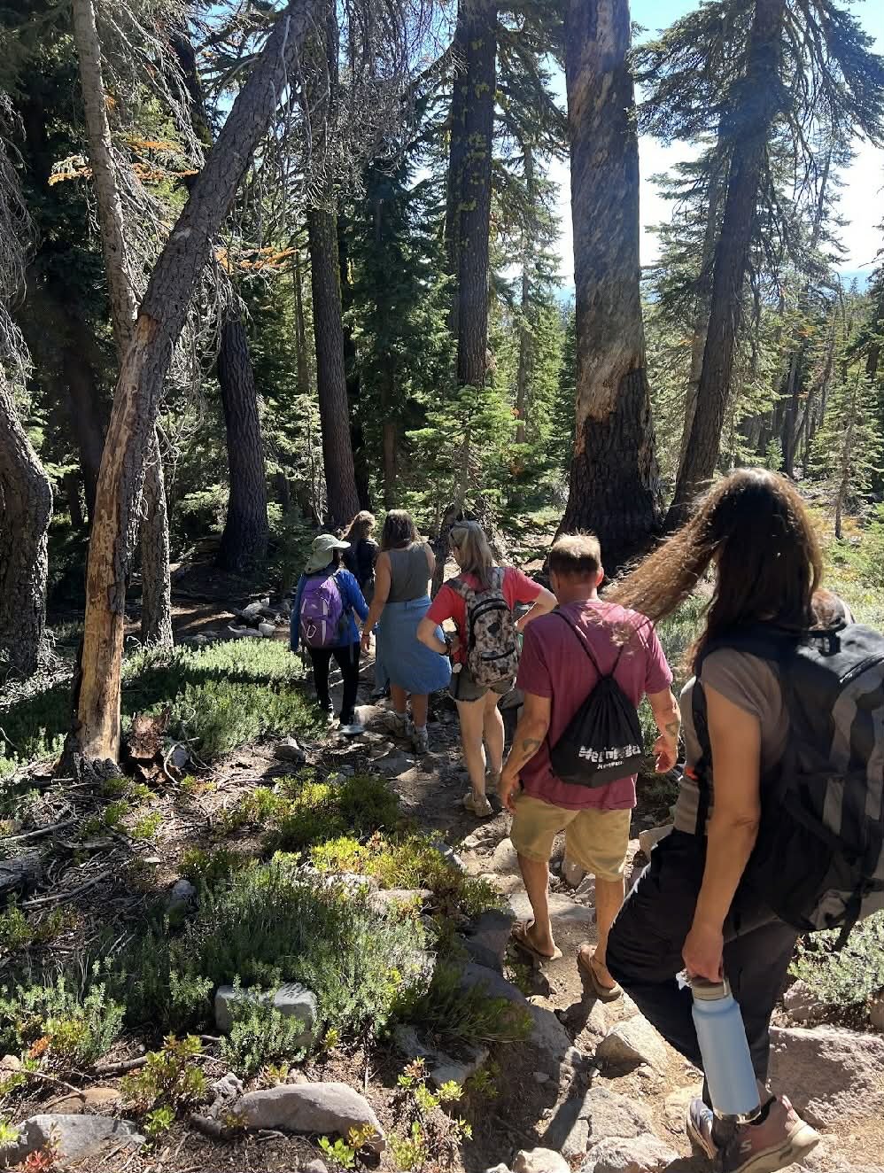 bbaa326c-7fe2-4f43-8c84-07ee1339f4f0 (1).jpeg