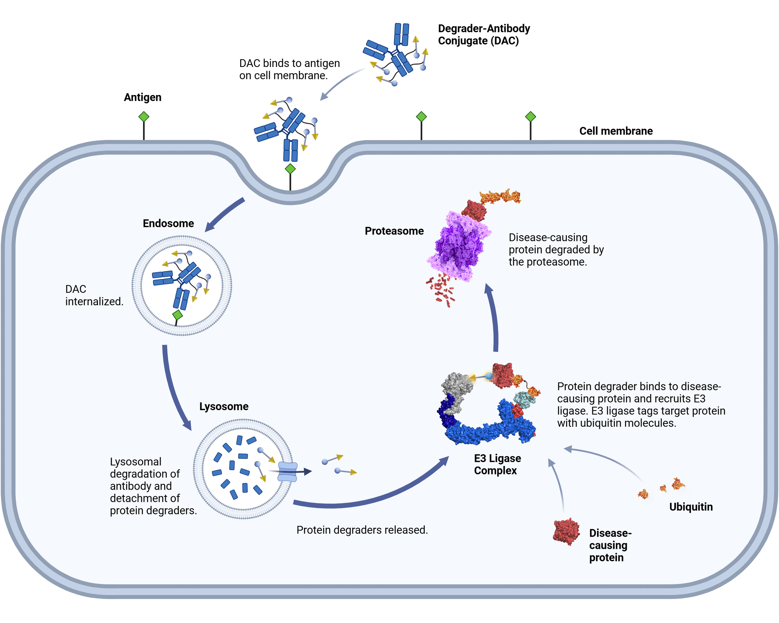 Is Target Delivery Time Accurate
