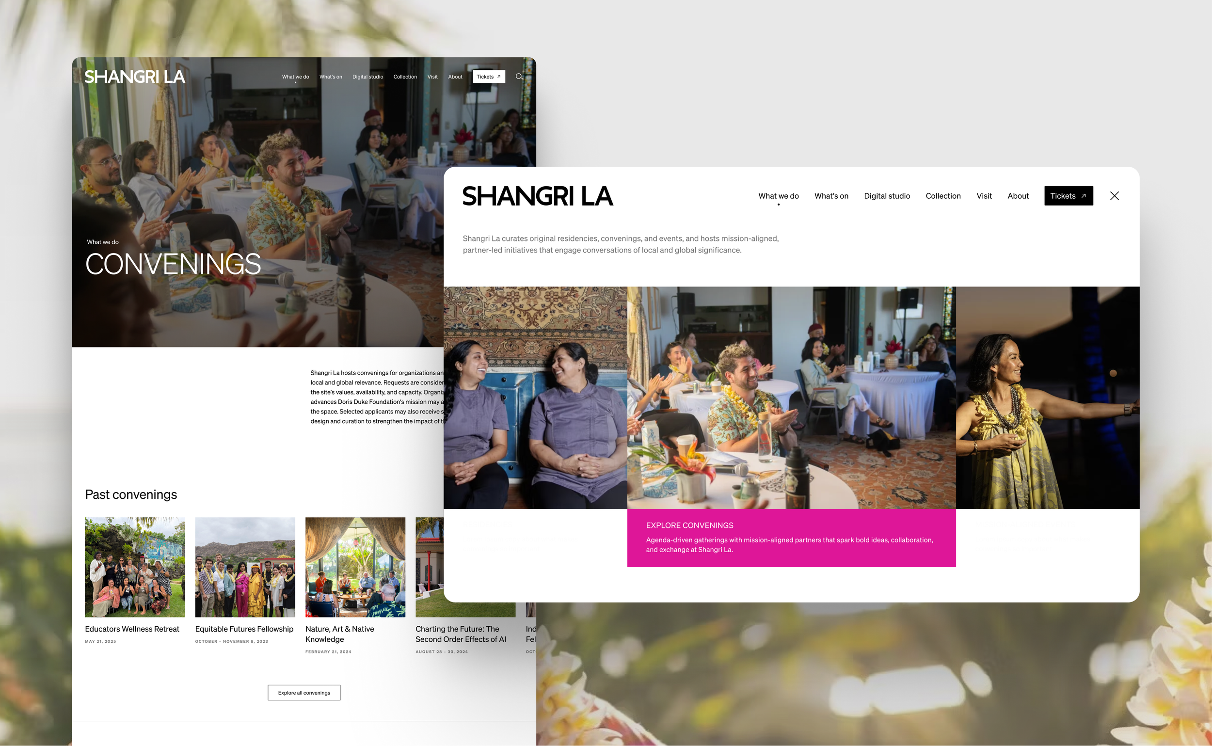 SHANGRI LA: 
Design System + Website Rebrand