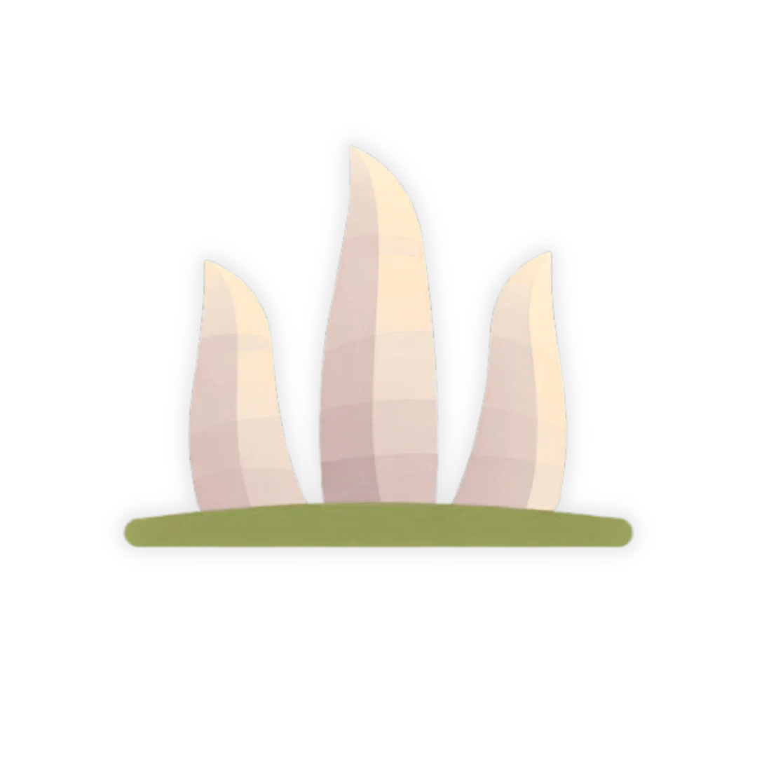 Avrupa Vizesiz Seyahat