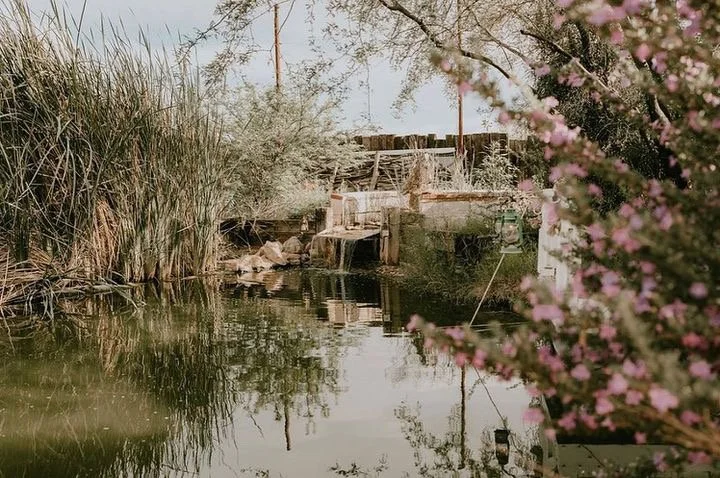 large pond.jpg