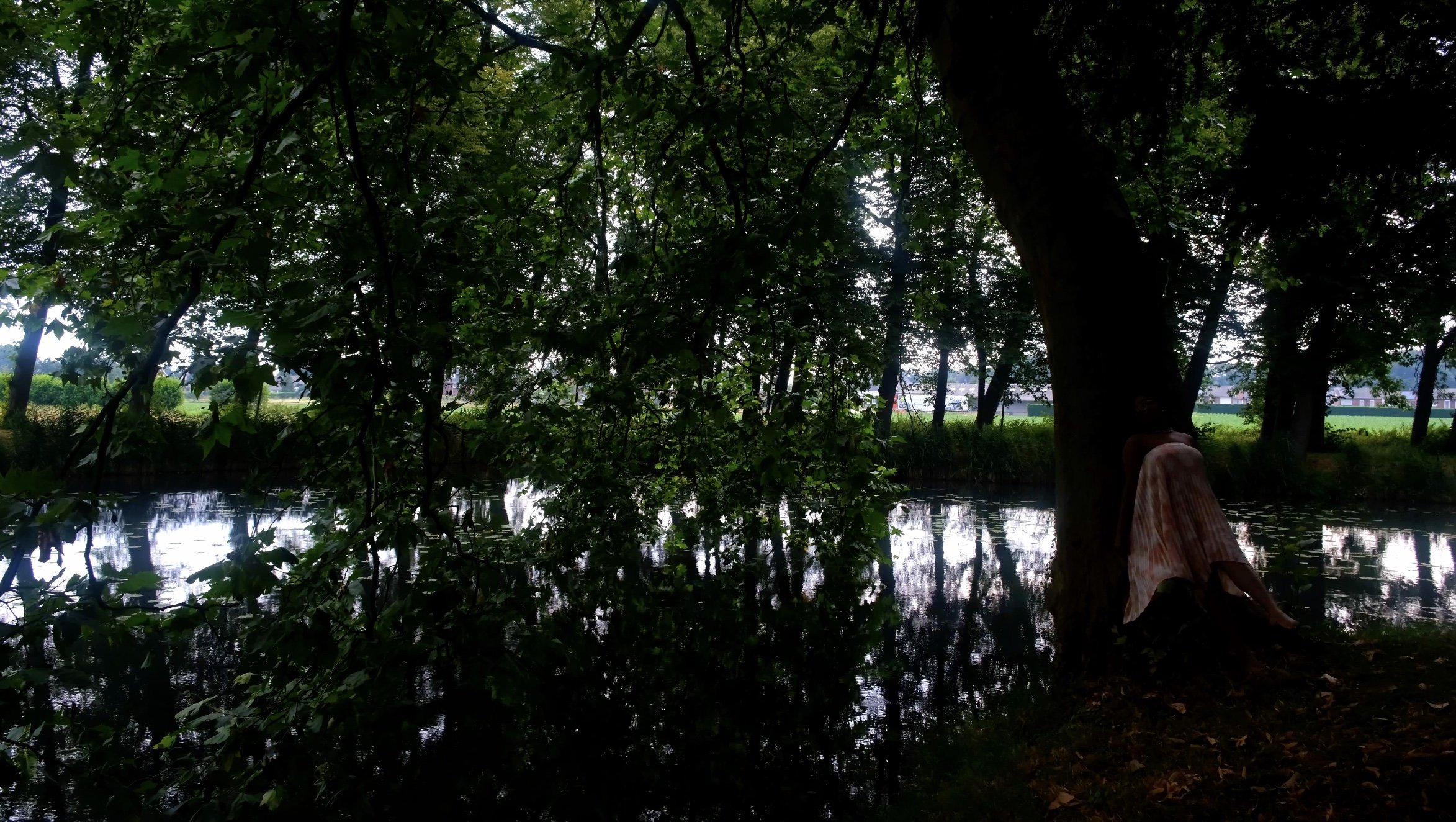 Image 8-4-24 at 4.12 PM.jpg