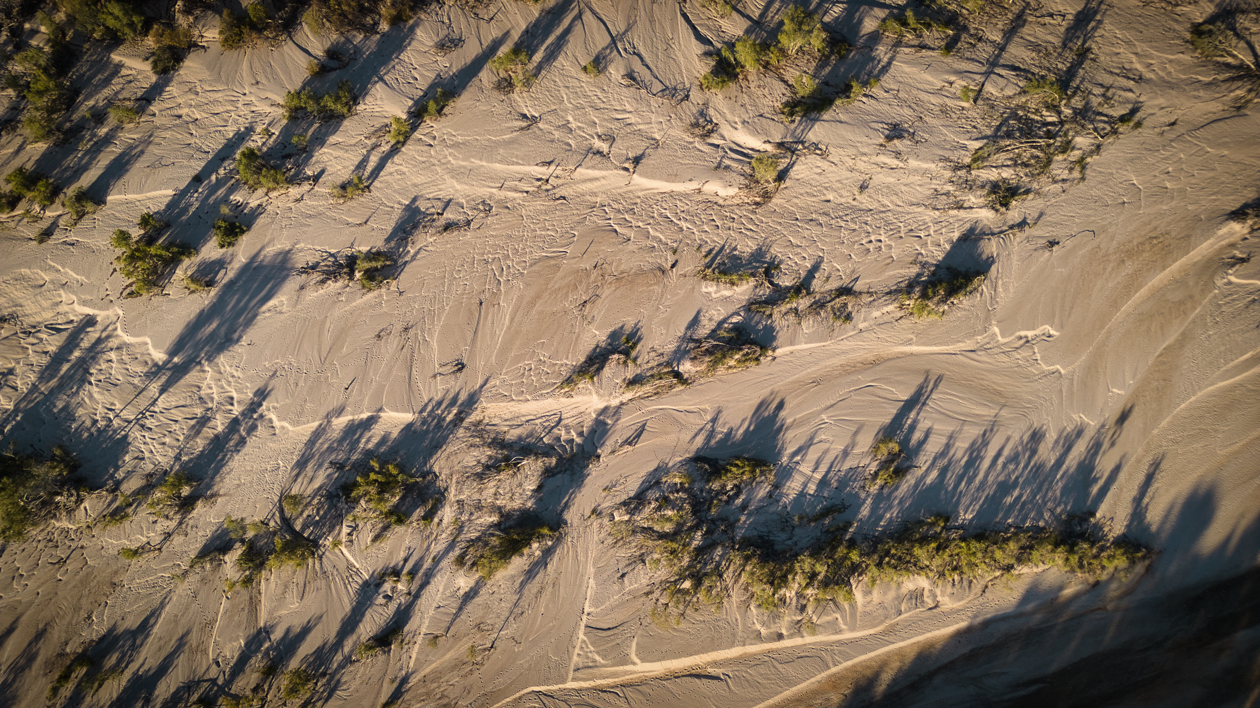 Lines In the Sands