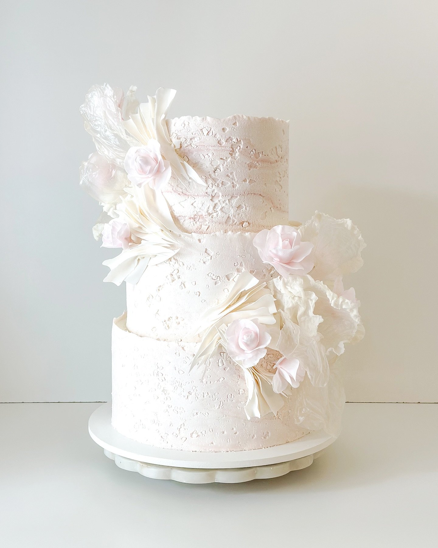 For Kendall + John 🌸🪸🤍

Craft Flavor: Caprino e Fichi 

#sandiegowedding #fallbrookwedding #temeculawedding #weddingcake #sandiegocakes #southerncaliforniawedding #socalwedding #luxuryweddingcake #connorscraftcakes