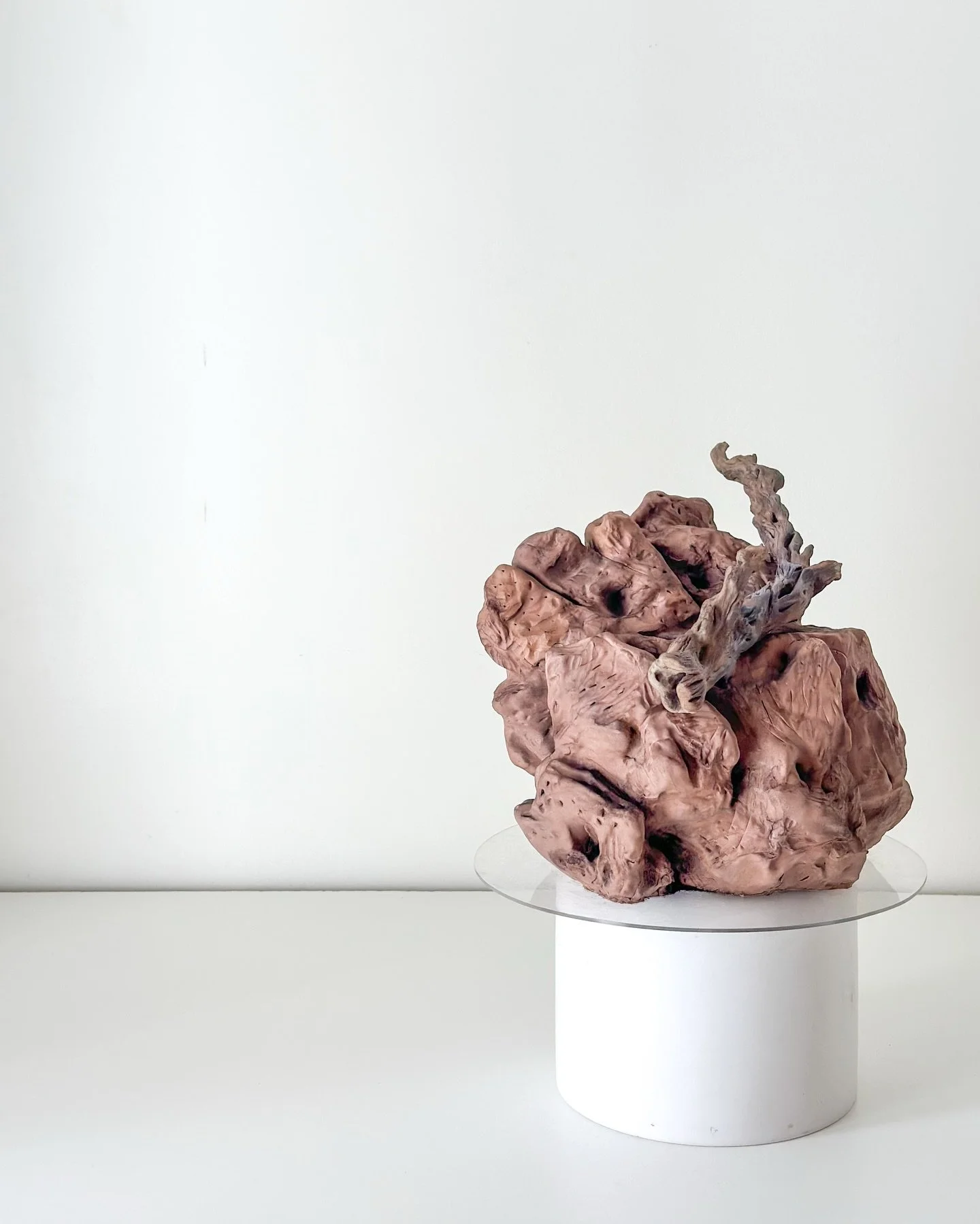 Nature in its raw form 🪨 🪾 For a special birthday guy🎂 

This is different from my normal cake designs, but it was an exciting project I&rsquo;m looking forward to doing more of. The driftwood was created using modeling chocolate, and the rock is 