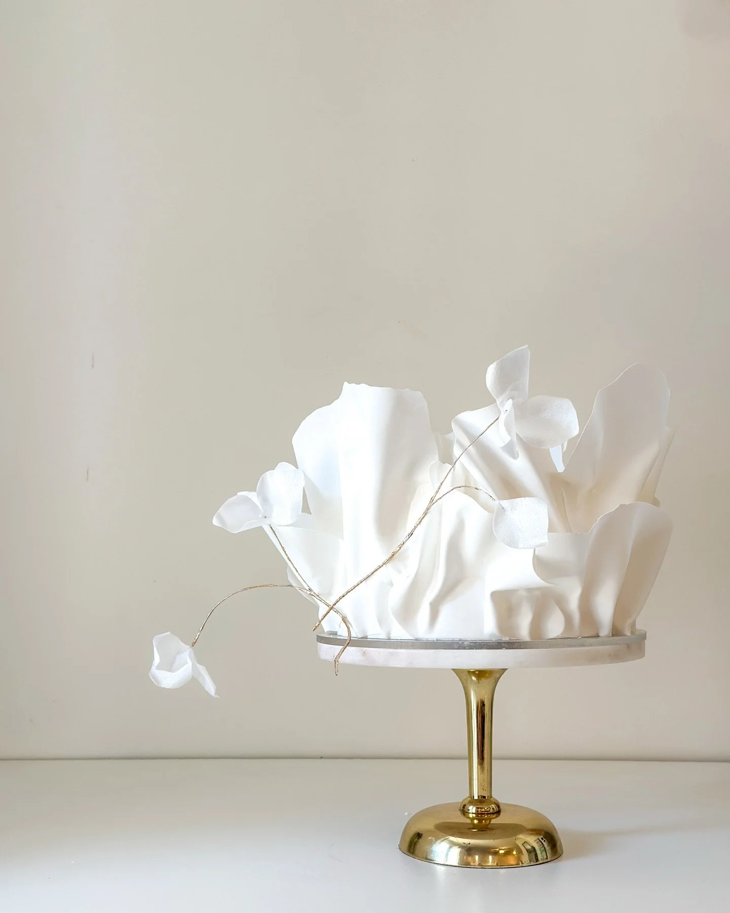 White ruffles with a ethereal gold stemmed blossoms 🤍

Craft Flavor: Aloha Kai 

#sandiegocakes #weddingcake #luxuryweddingcake #sandiegowedding #connorscraftcakes