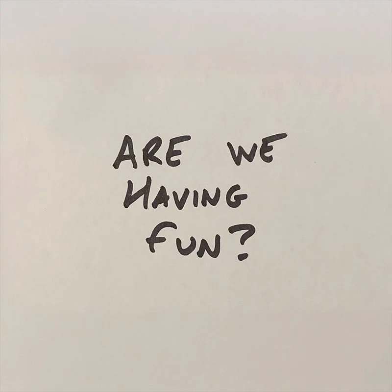 Are We Having Fun? 