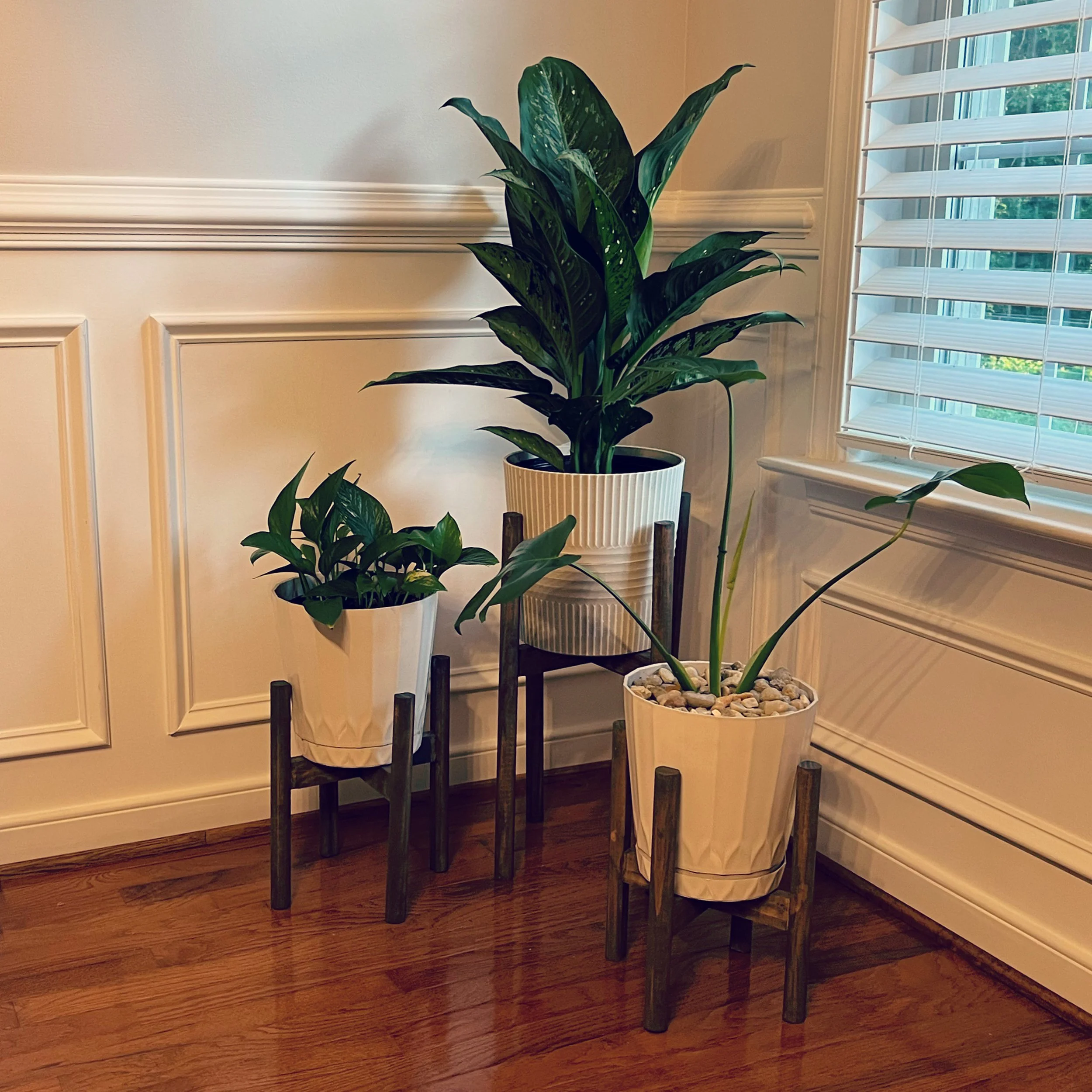 Plant Stands