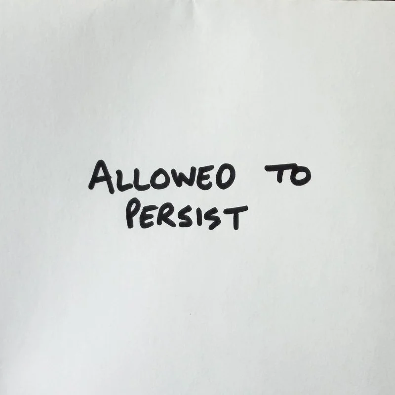 Allowed to Persist