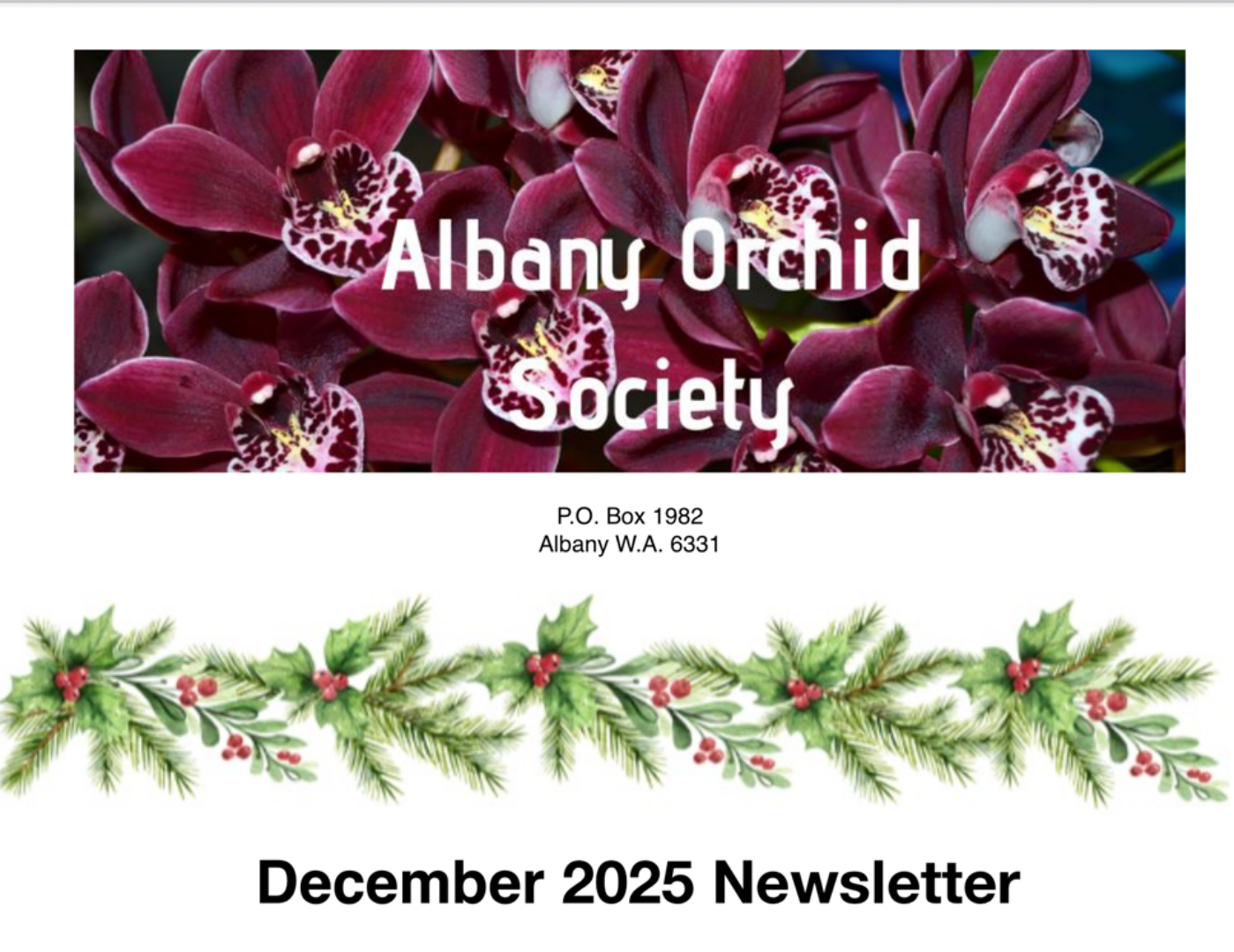 Albany Orchid Society Inc. December 2025 Newsletter 