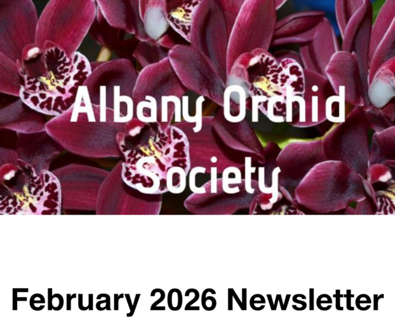 Albany Orchid Society Inc. February 2026 Newsletter 