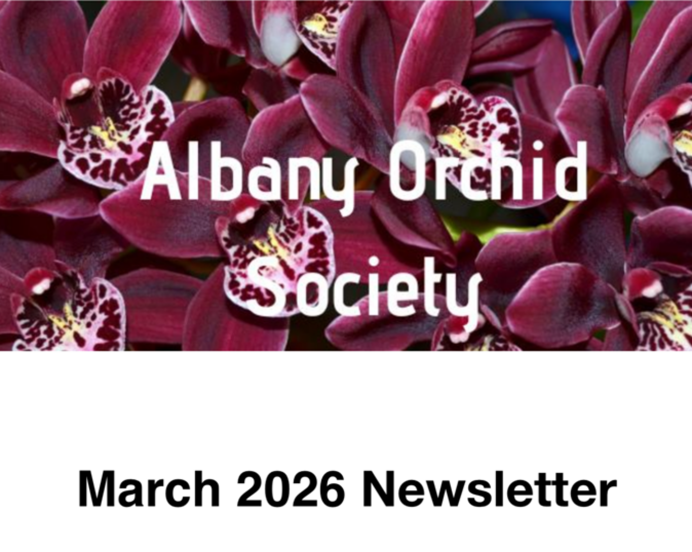 Albany Orchid Society Inc. March 2026 Newsletter 