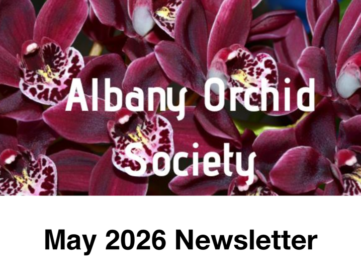 Albany Orchid Society Inc. May 2026 Newsletter 