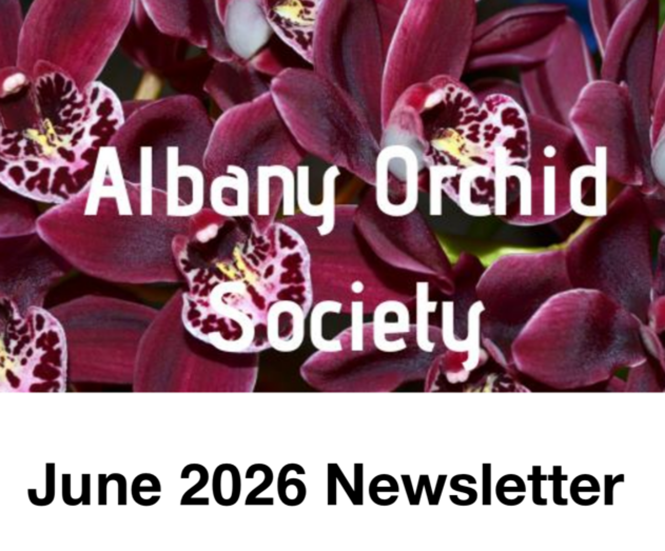 Albany Orchid Society Inc. June 2026 Newsletter 