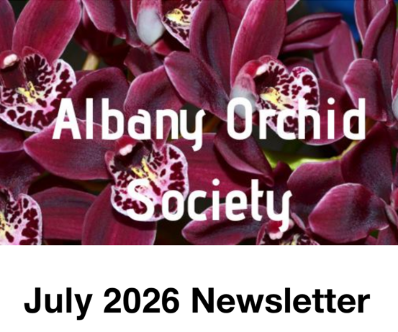Albany Orchid Society Inc. July 2026 Newsletter 