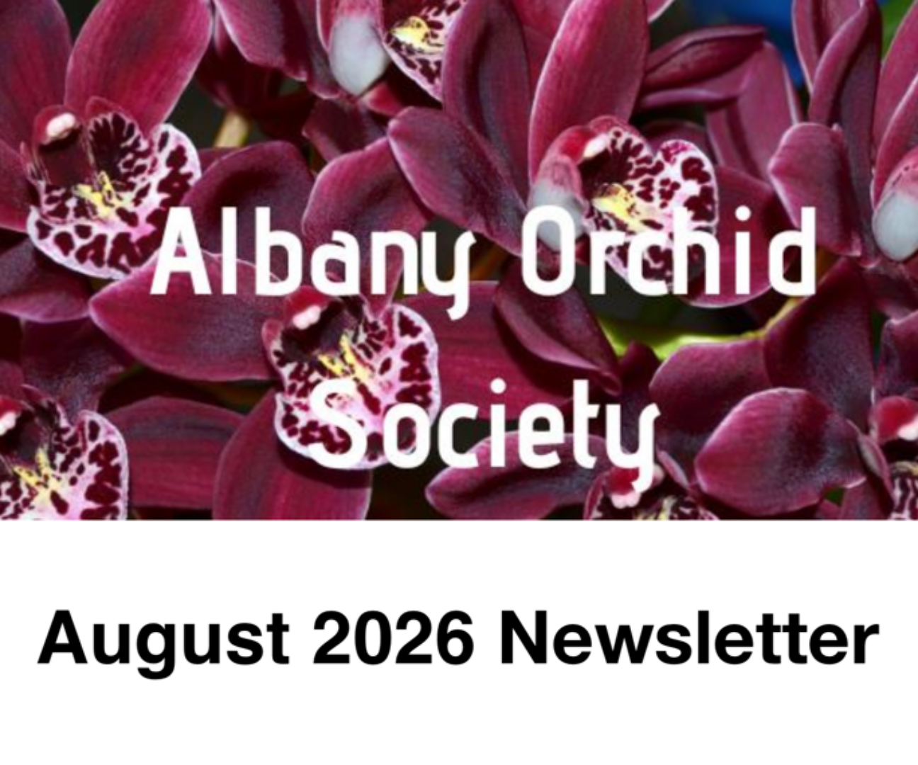 Albany Orchid Society Inc. August 2026 Newsletter 