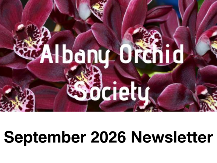 Albany Orchid Society Inc. September 2026 Newsletter 