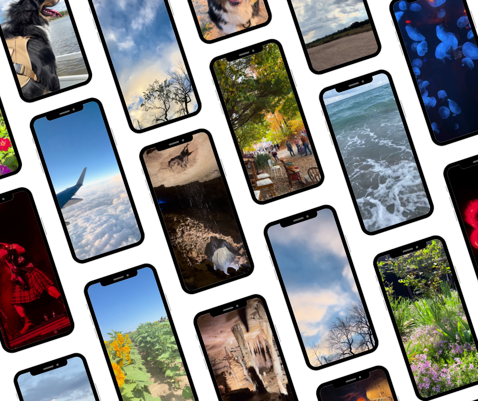 Multiple smartphones displaying various images of nature, animals, and scenes including a dog, sky, trees, beach, and flowers, arranged in a grid pattern.