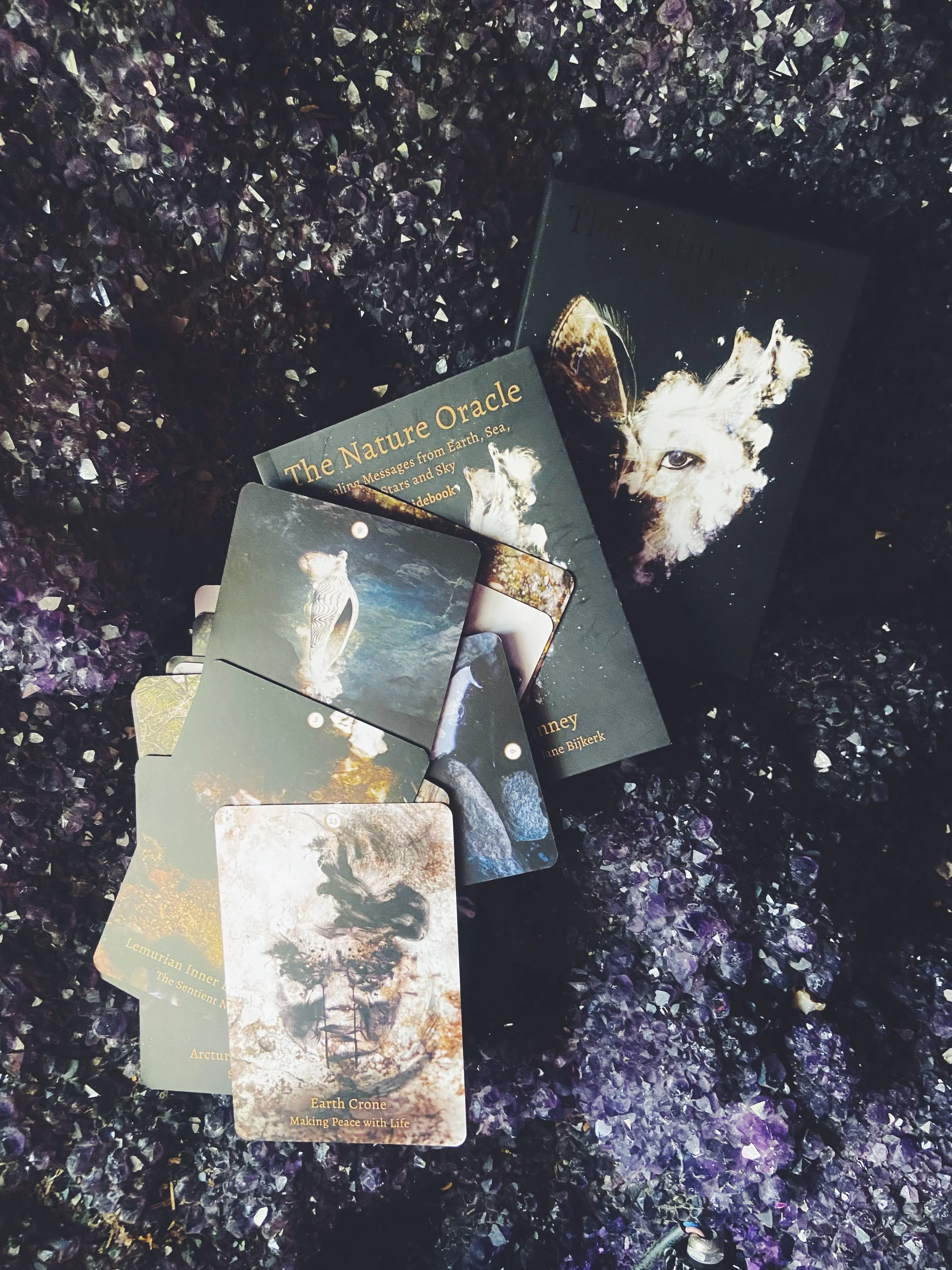 The Nature Oracle Card Reading