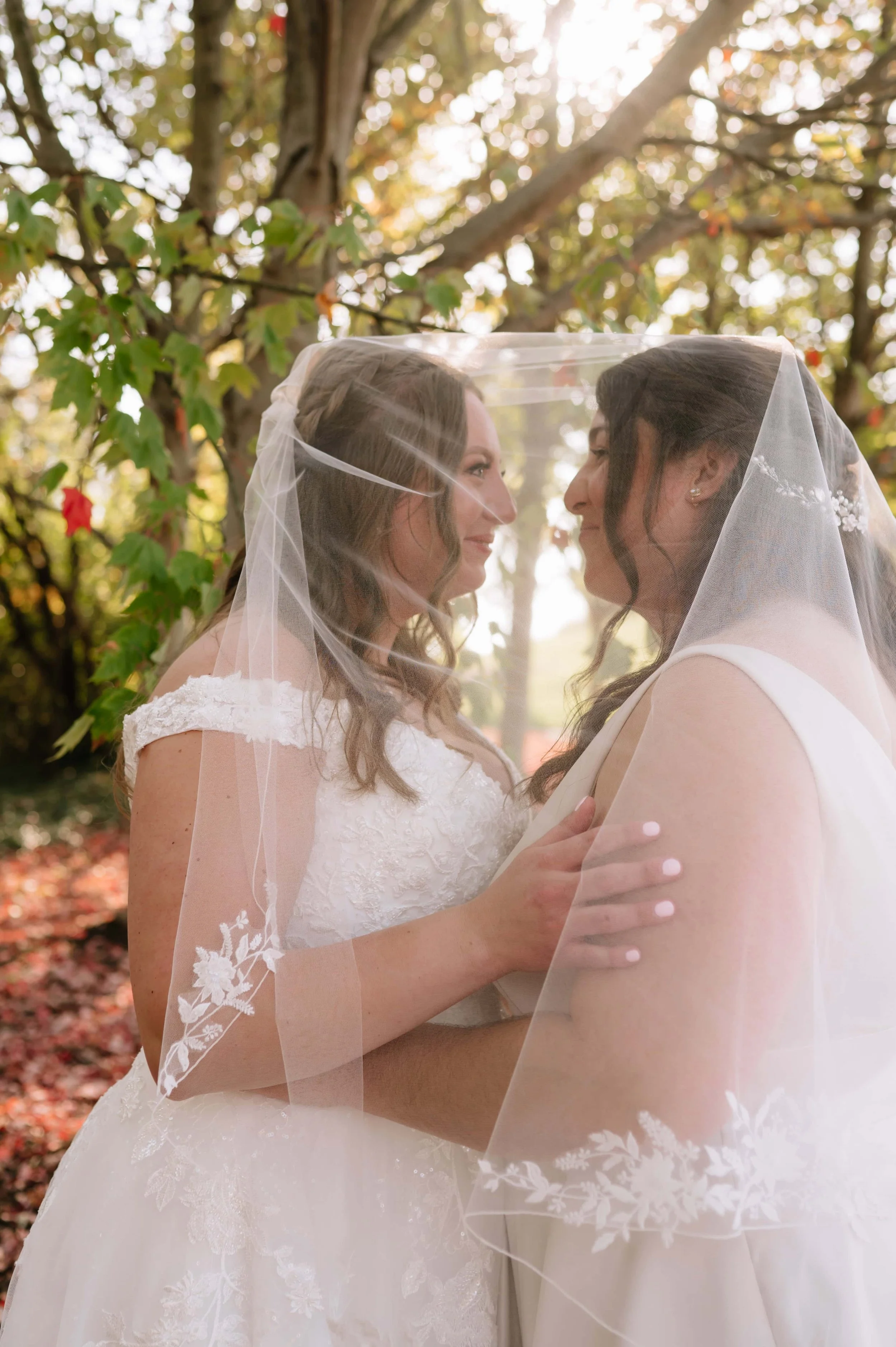 bride photos under veil.jpg