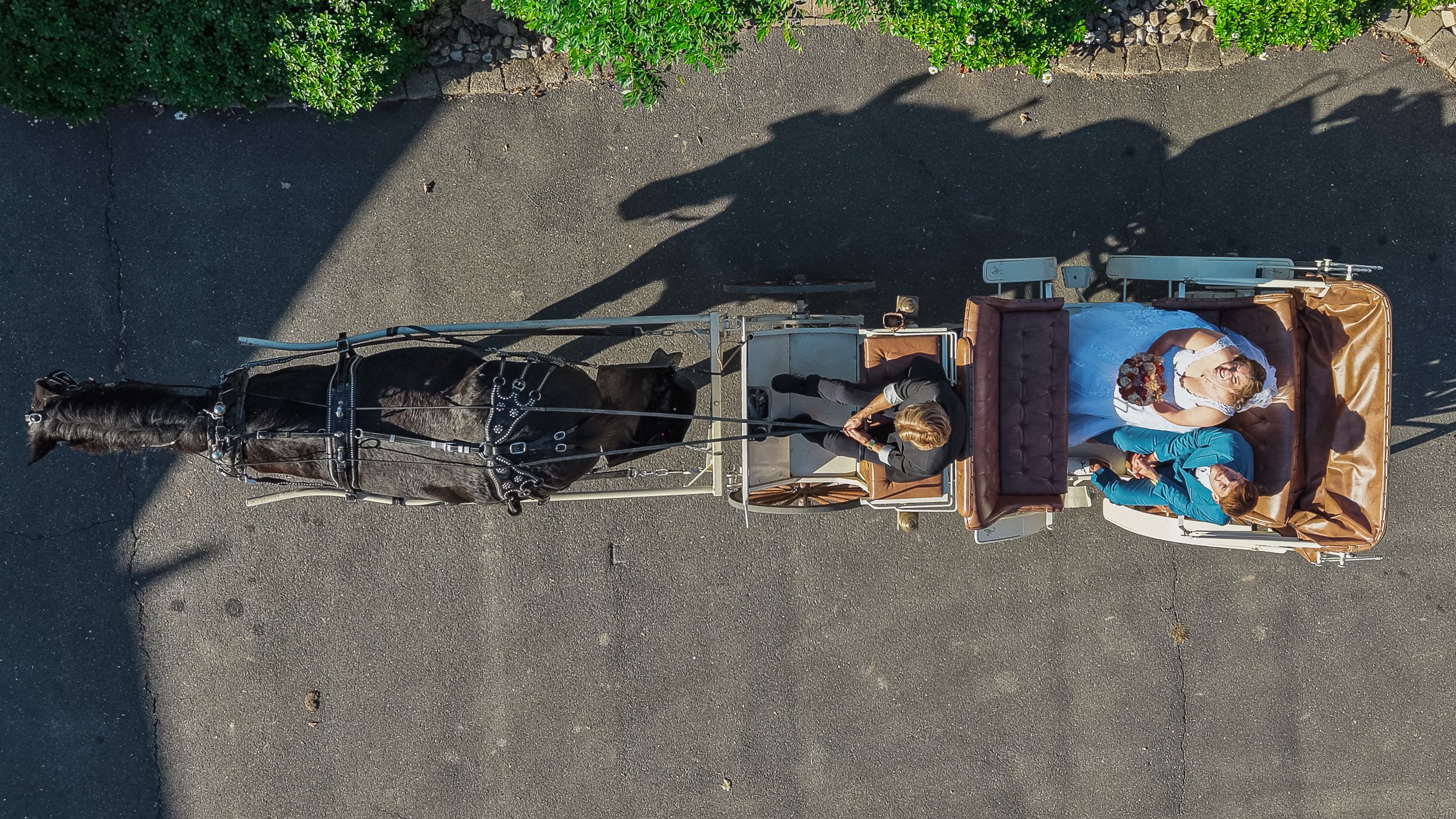 DJI_20261003161605_0082_D.jpg