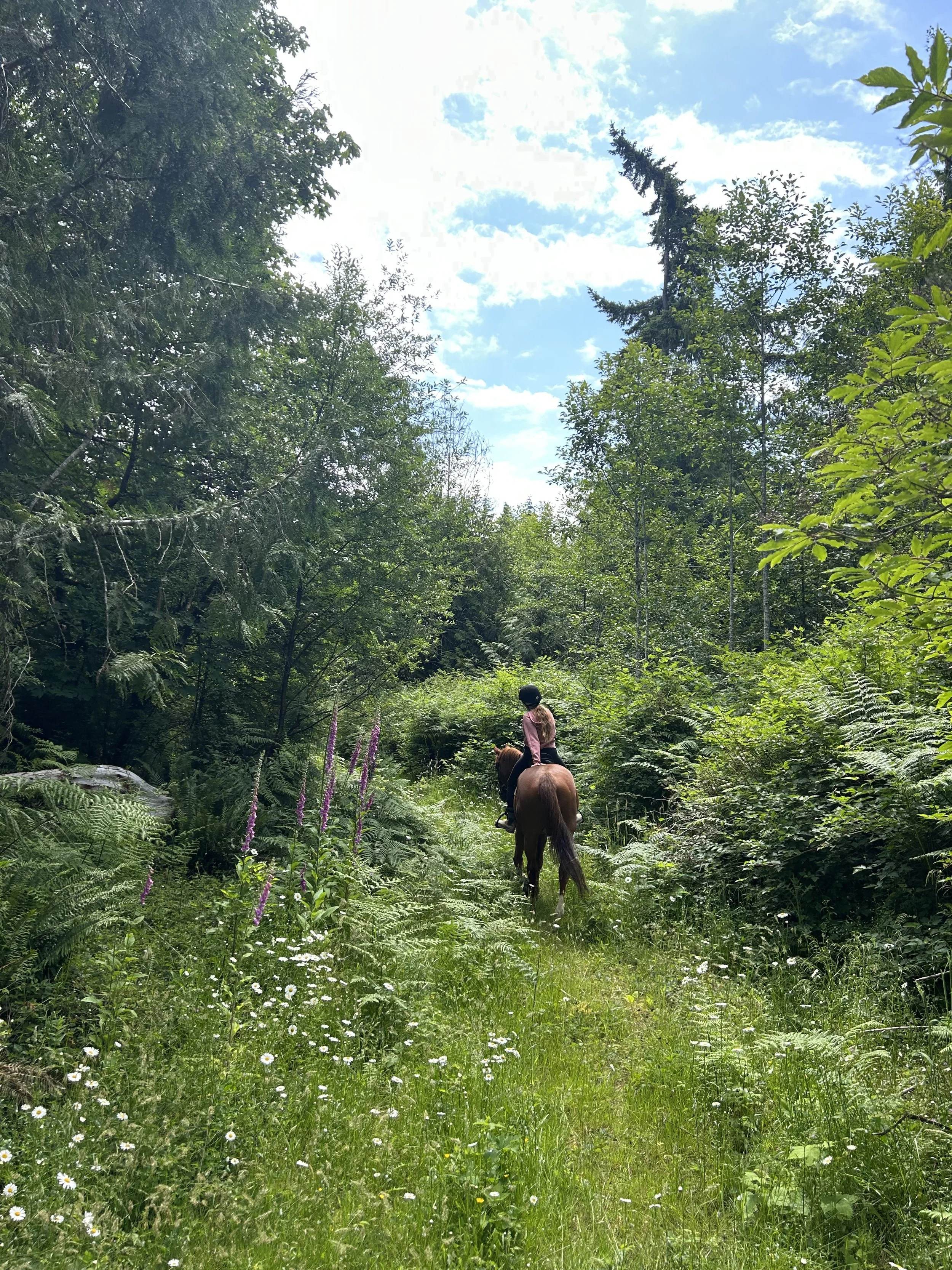 trail ride in forest