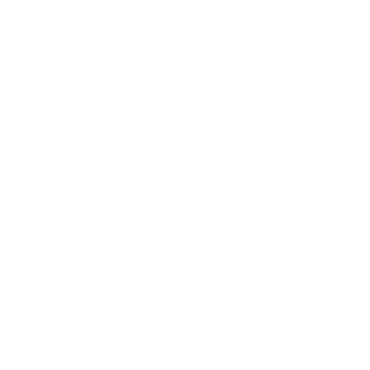 An outline of a report