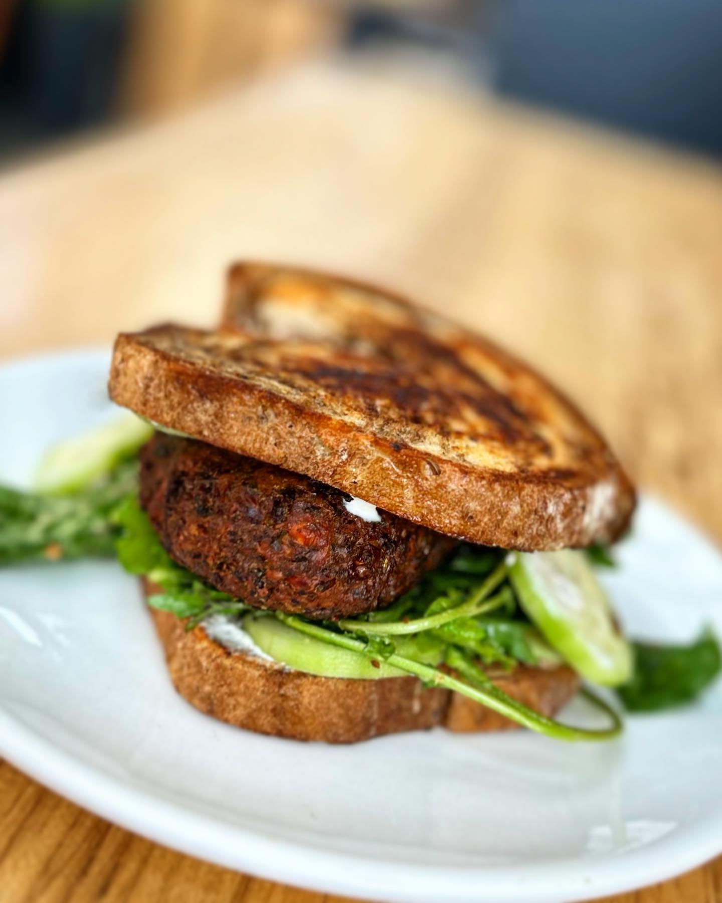 April showers brings CUCUMBER FALAFEL SANDWICH w/ marinated cucumbers, toasted marble rye bread, dill labneh, spring pea falafel, spring greens (V, VV+)