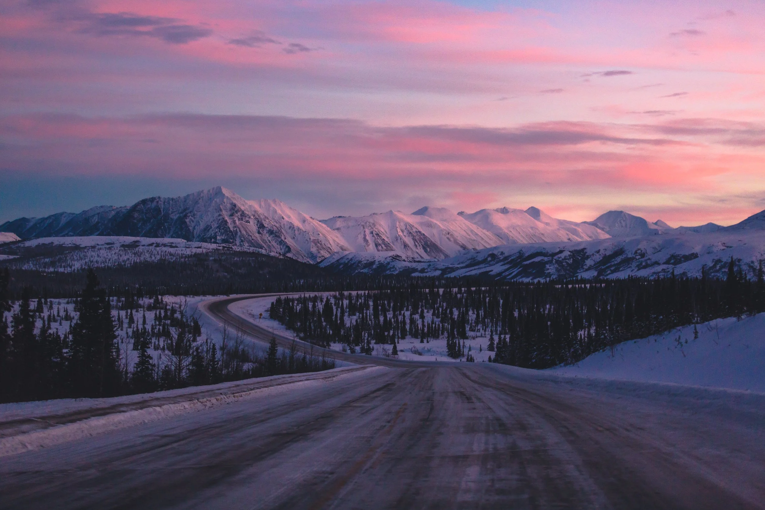 Photography in Denali National Park.jpg