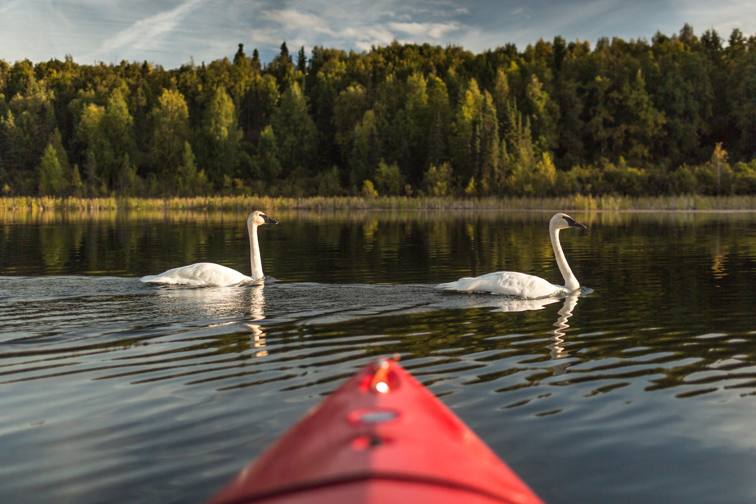 Kayaking photography in alaska.jpg