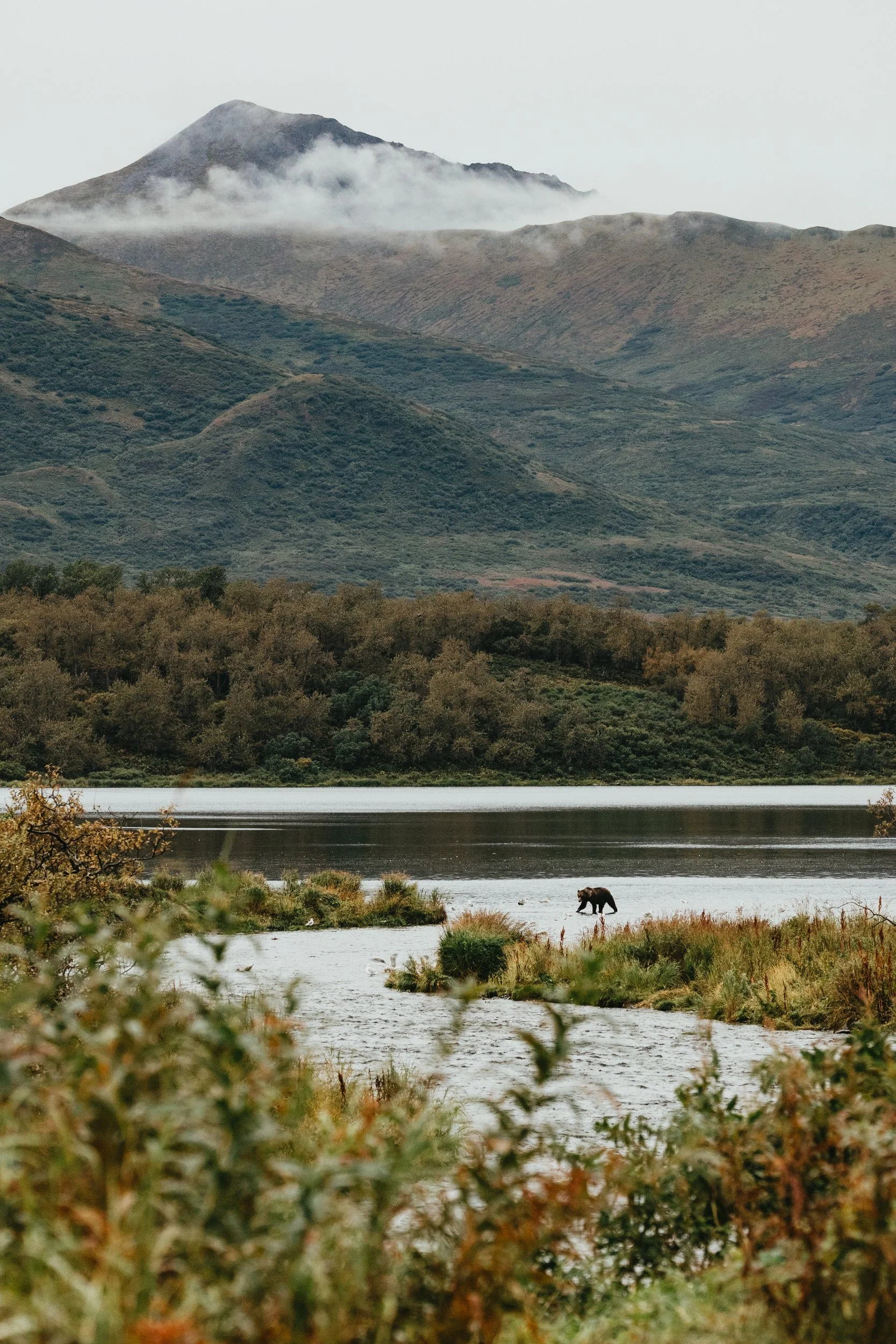 Photography on Kodiak Alaska.jpg