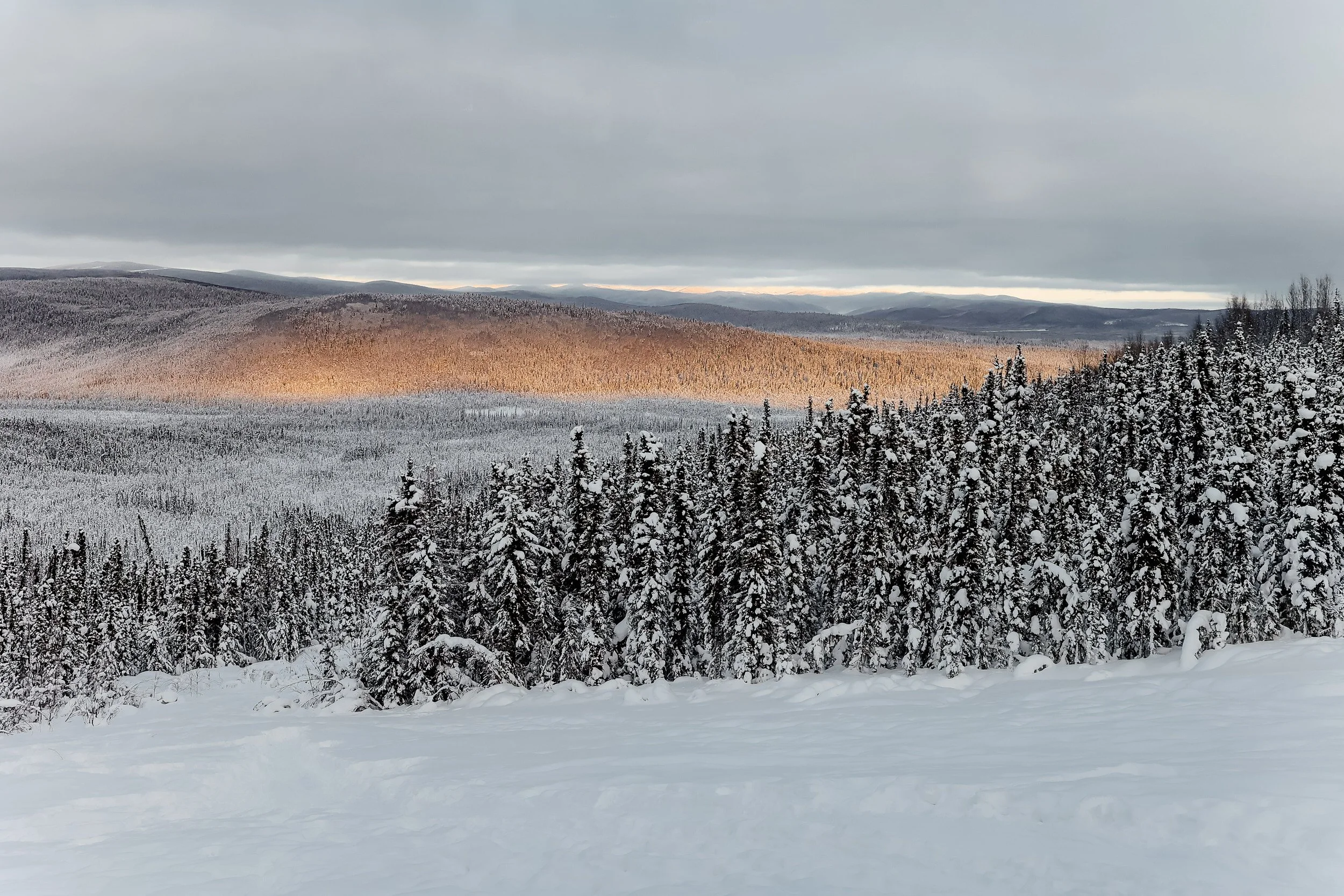 Landscape photography in Faribanks Alaska.jpg