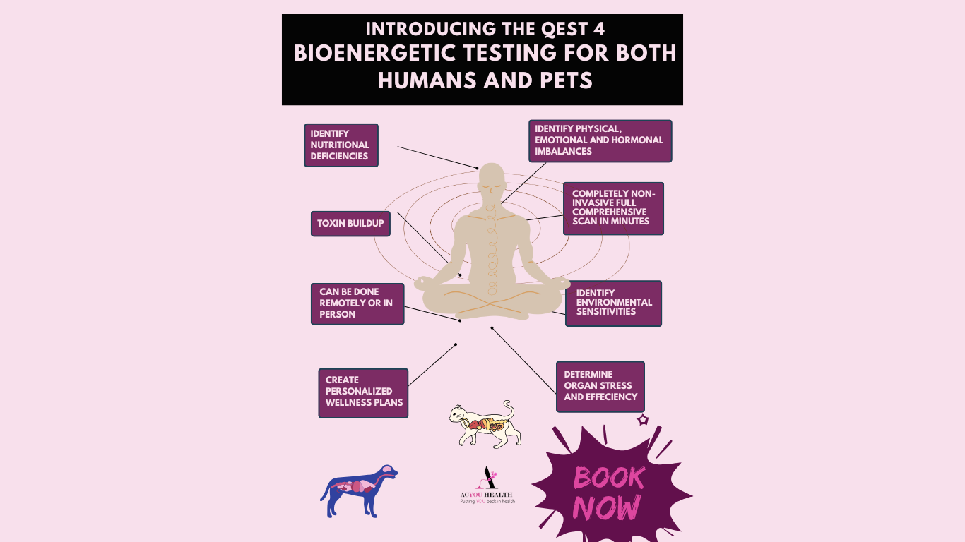 Bio Energetic Testing - Qest4 — AcYou Health