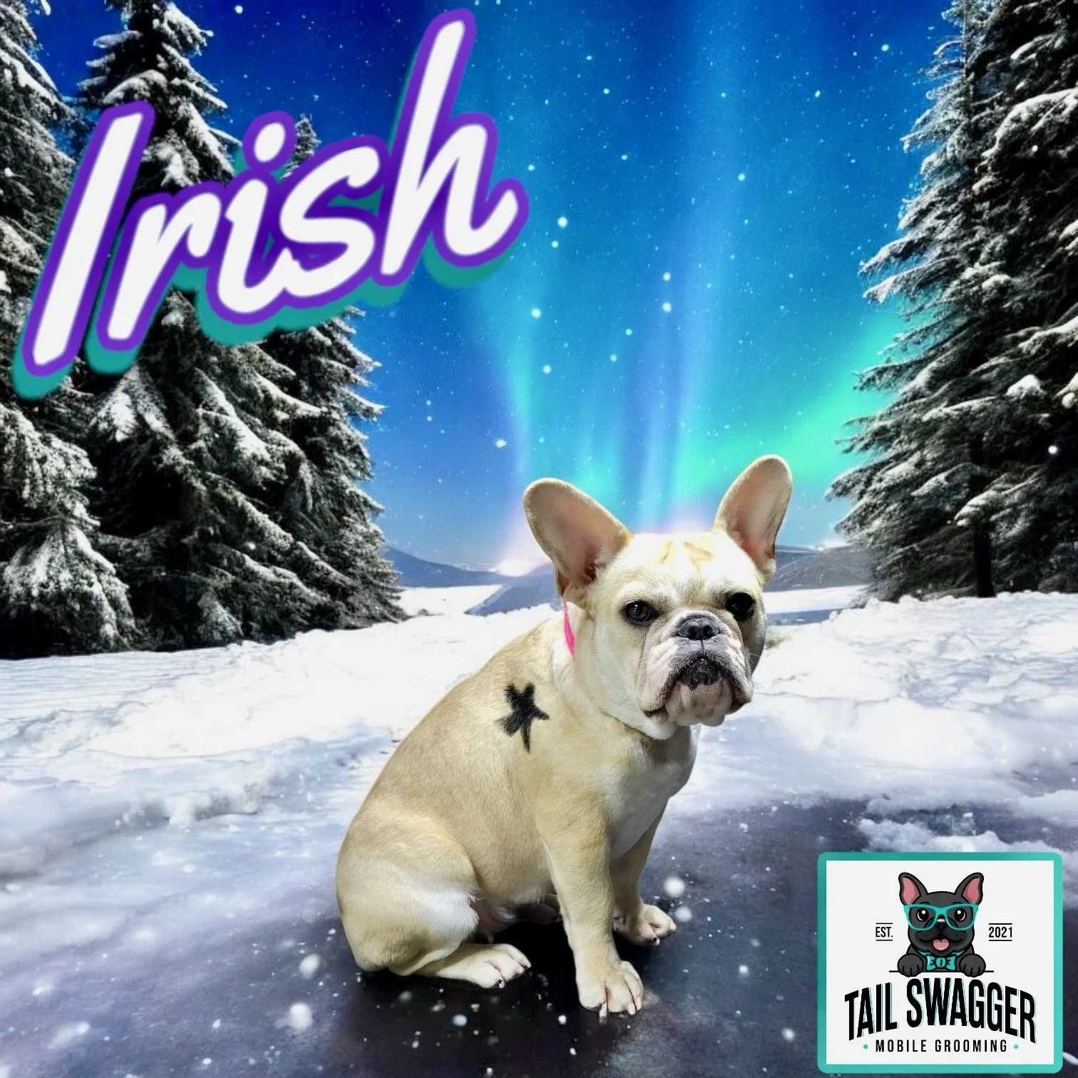 Photoroom_20250111_172817 2.JPG