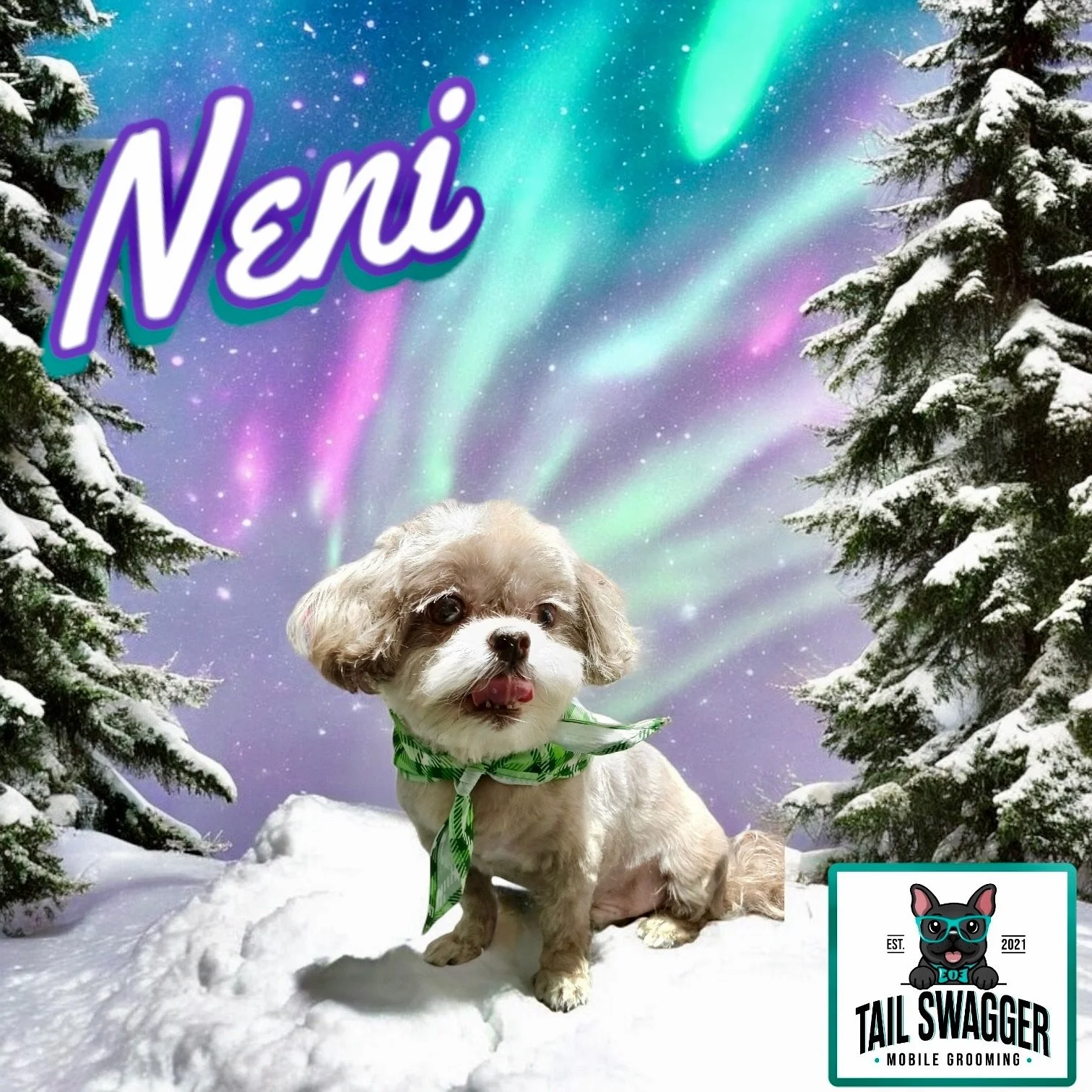 Photoroom_20250111_174006 2.JPG