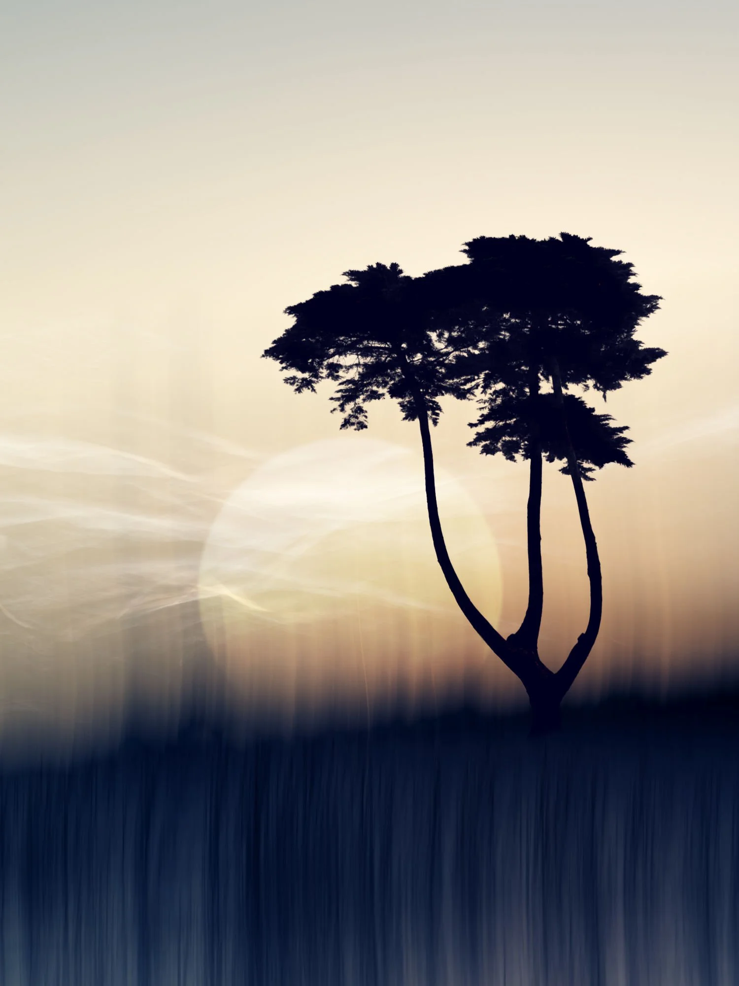"Greet the Sun" 
Composite of several ICM images and a standard silhouette. 