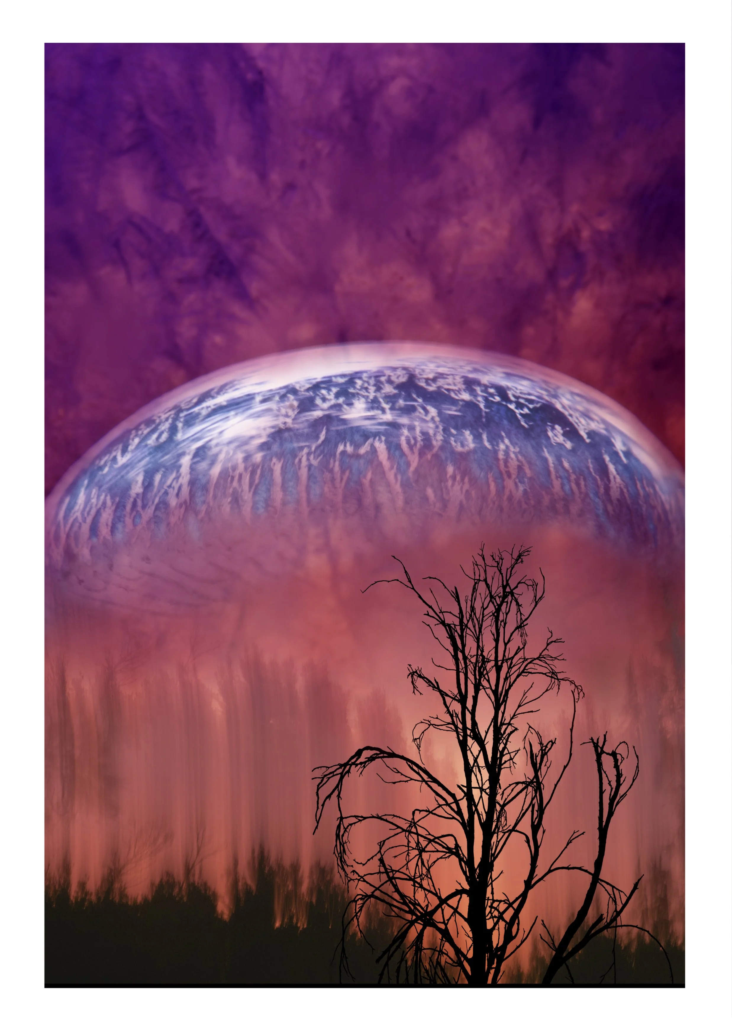 "No Planet B" Finalist 
Finalist MAVA ART Prize 2023