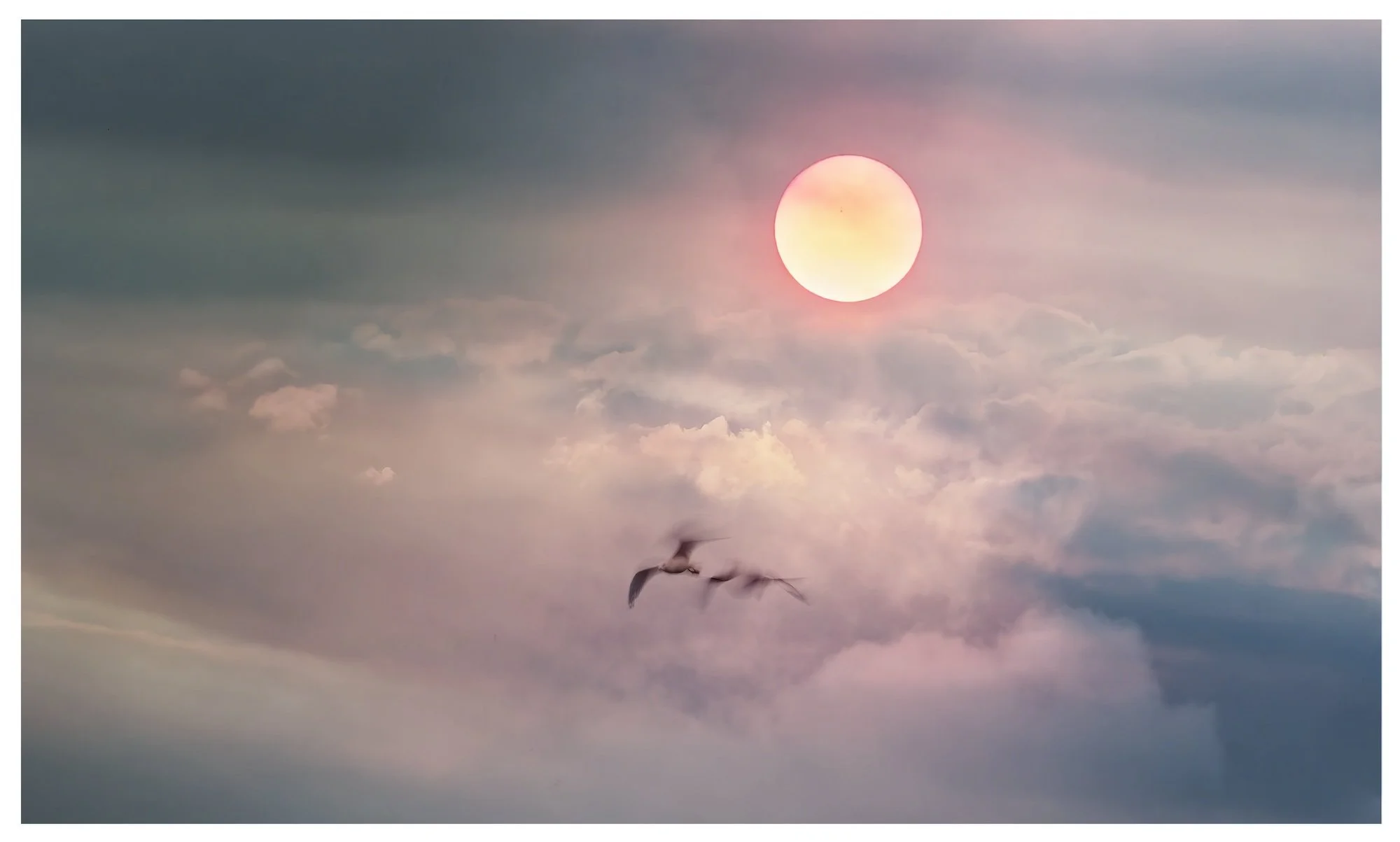 "Hope's Flight" 
Smoke from 2025/6 fires in western Victoria lend an eerie colouration to the atmosphere.