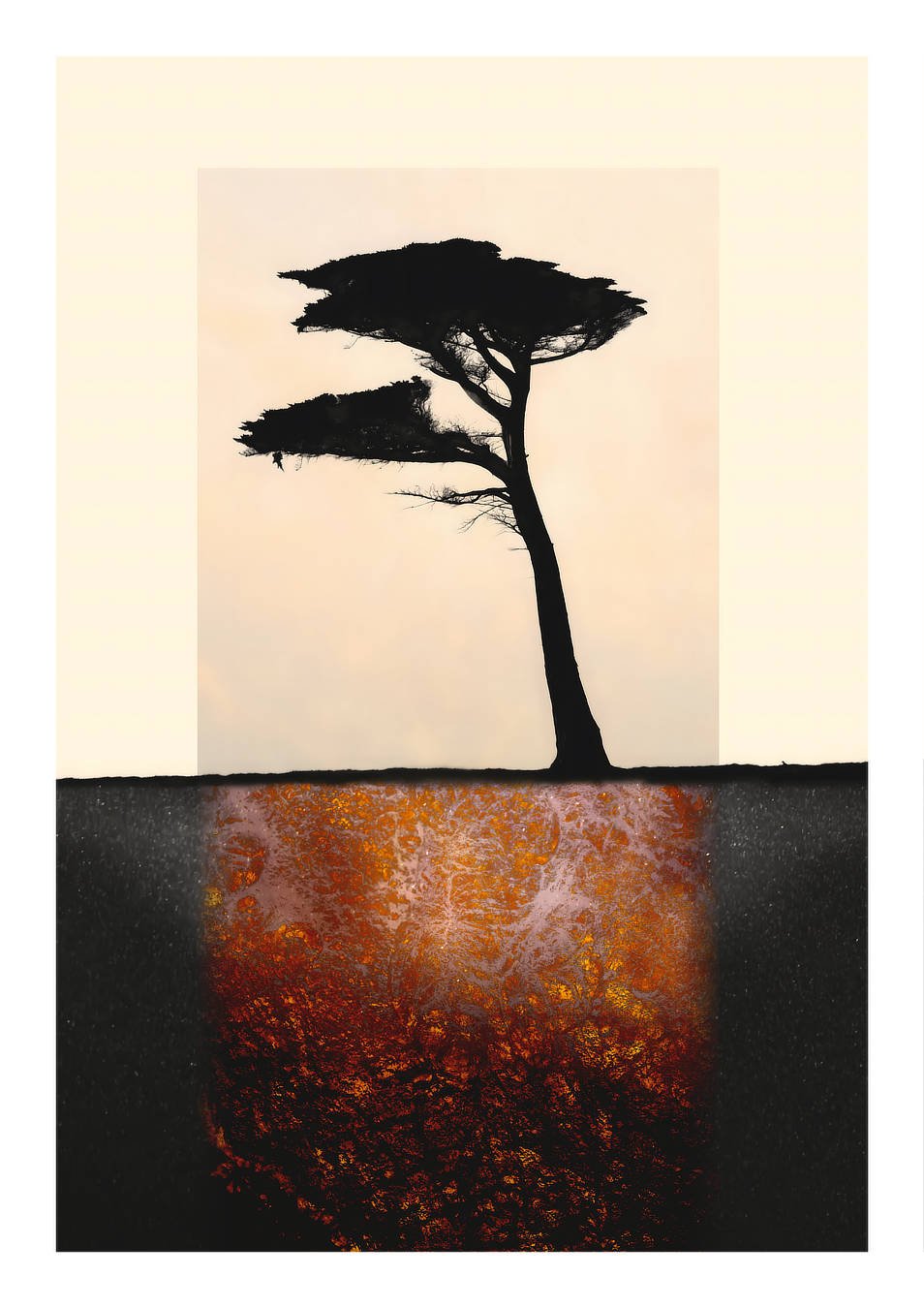 "Scale" 
A single magpie views the only local tree on coastal farmland.