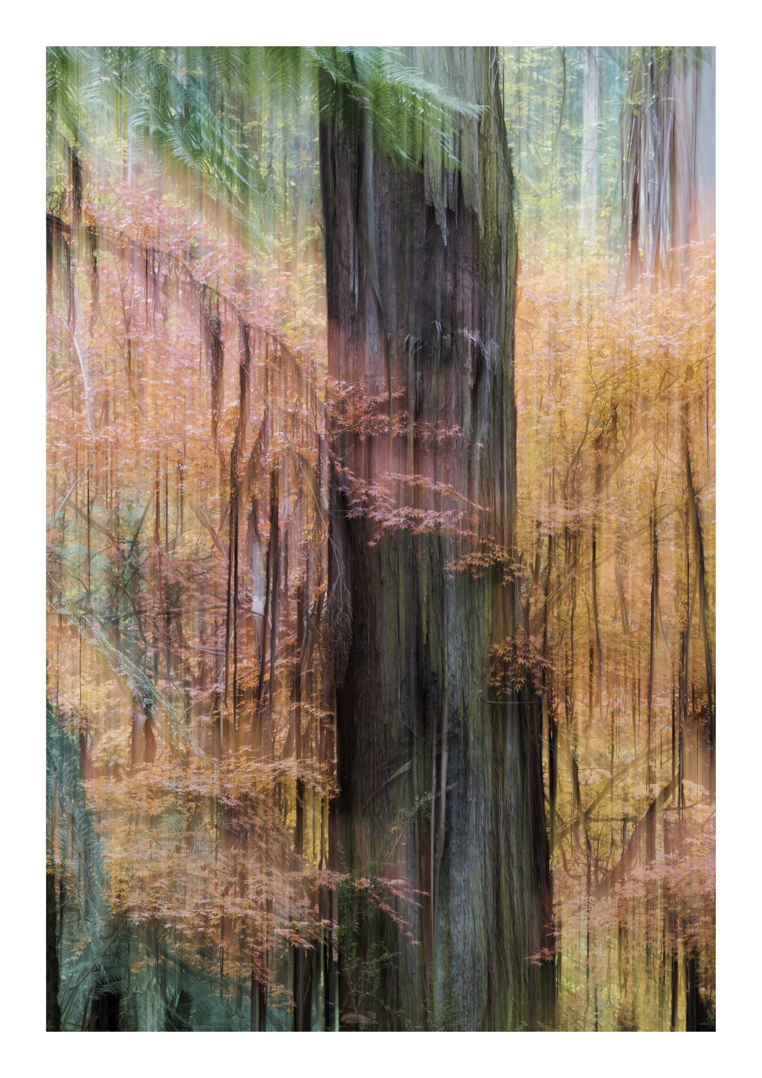 "Autumn's Embrace"
Finalist MAPH LOOK 2025