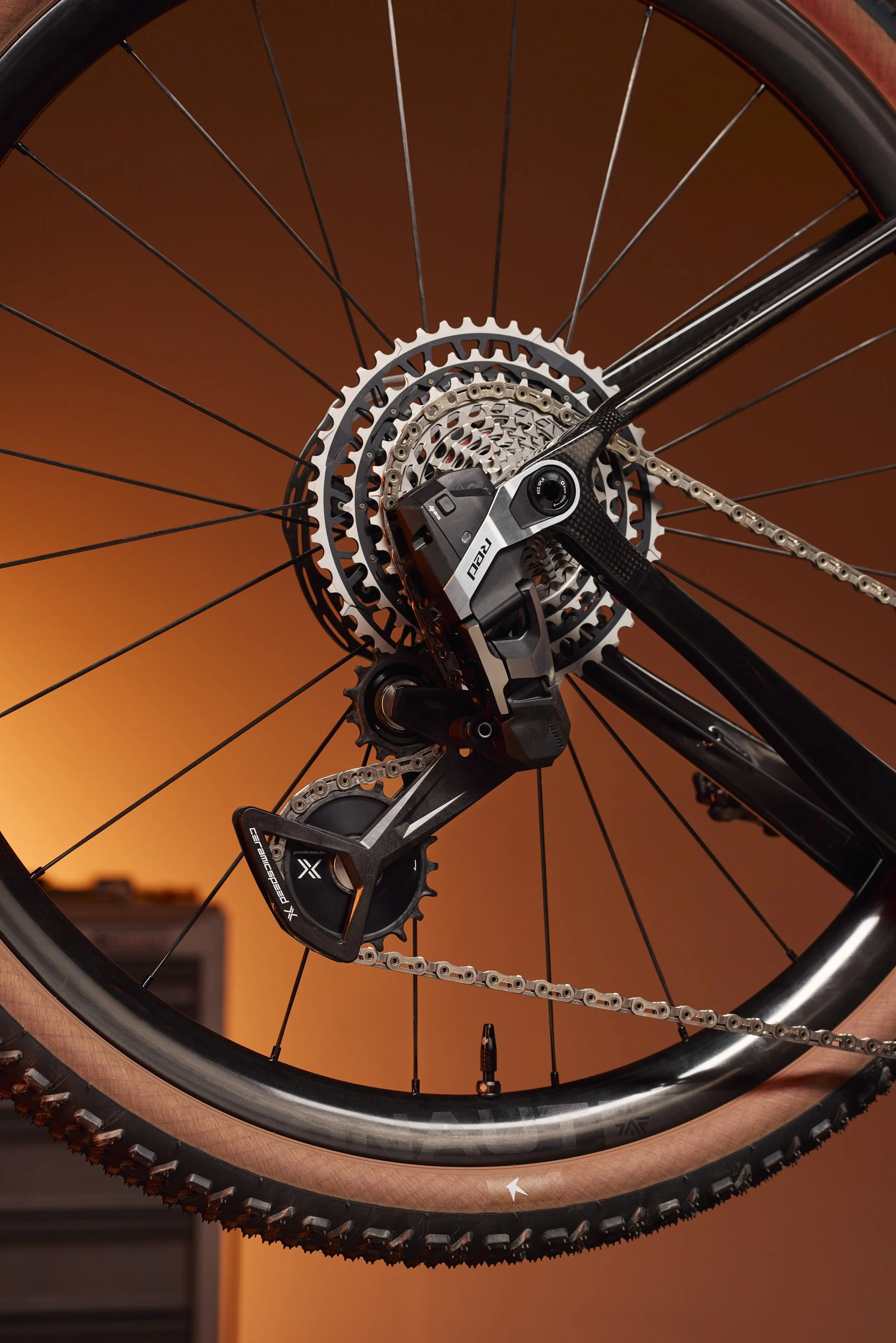 20260318 - Argonaut13251-full.jpg