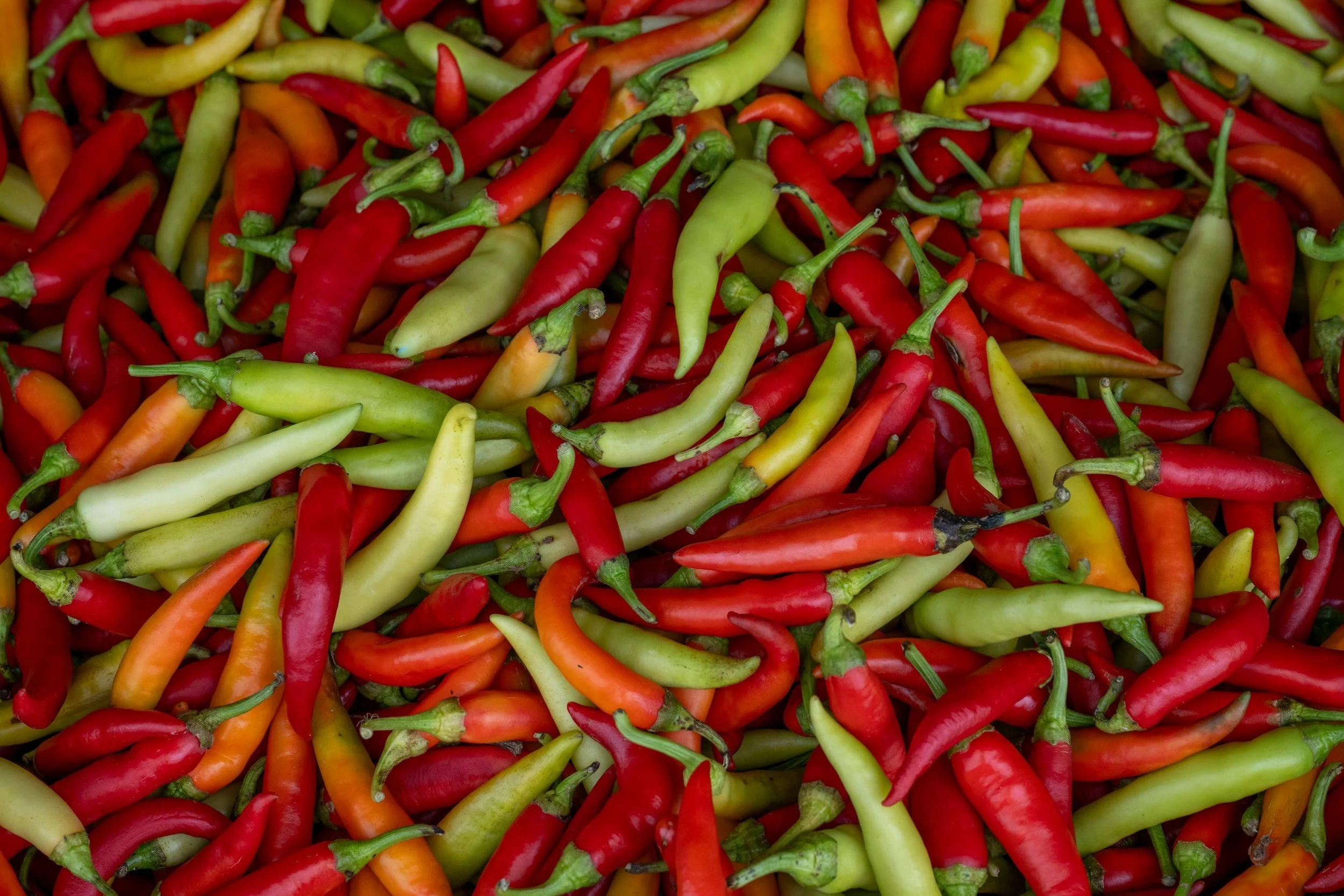 Schärfegrade erklärt: Wie du die richtige Chilisauce findest