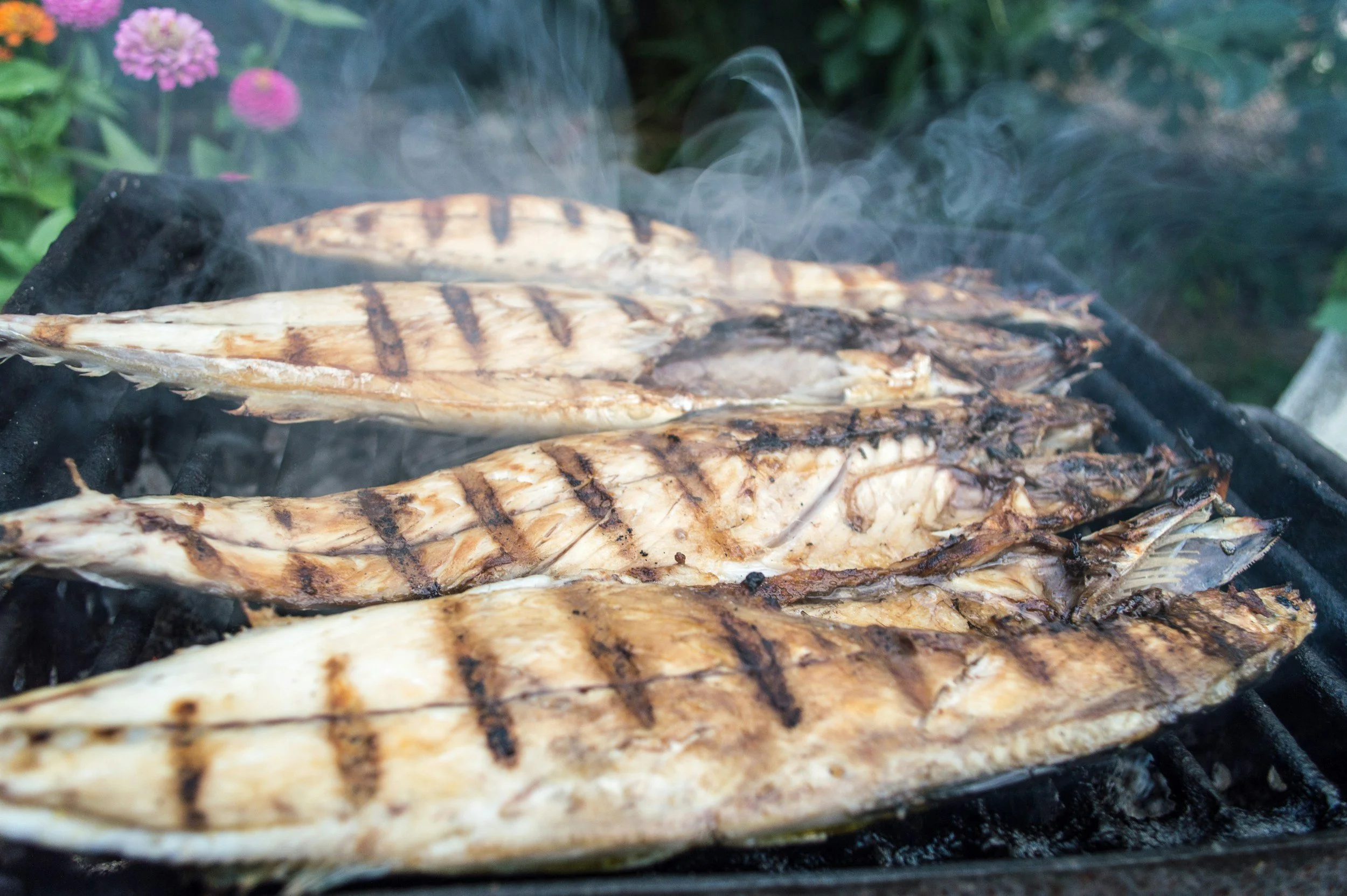 Dorade vom Grill mit caseiro Chilisauce – leicht, aromatisch, mediterran