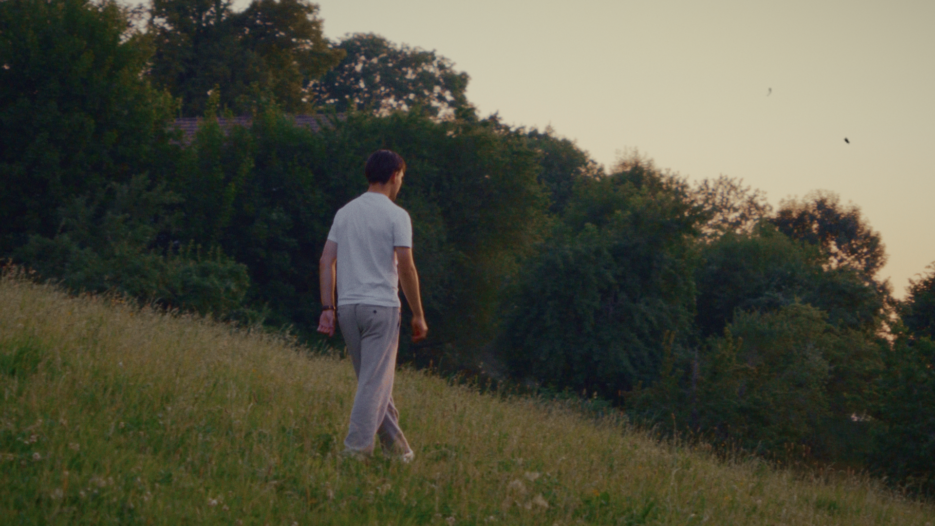 Still kes tempo_7.2.2.png