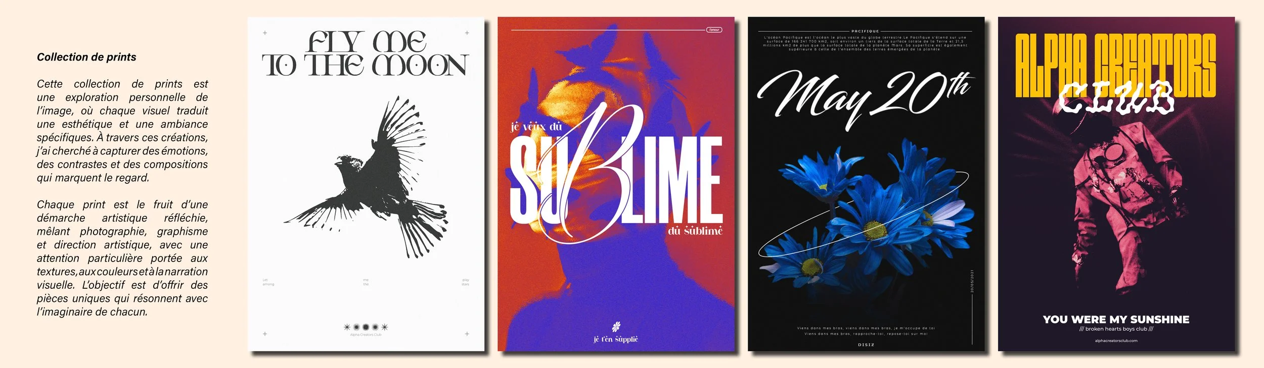 Projet graphismes4.jpg