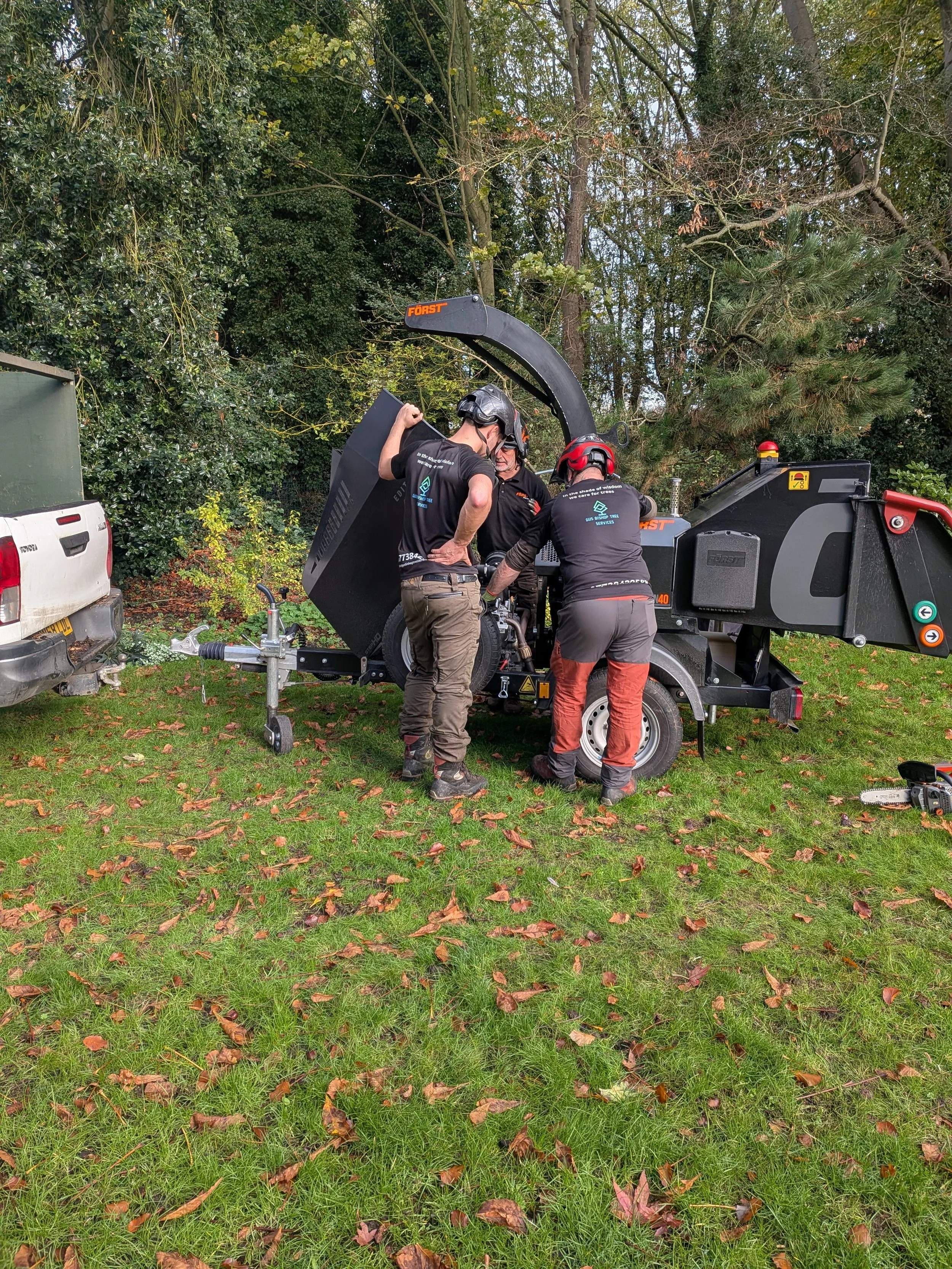 gus bishop tree services team