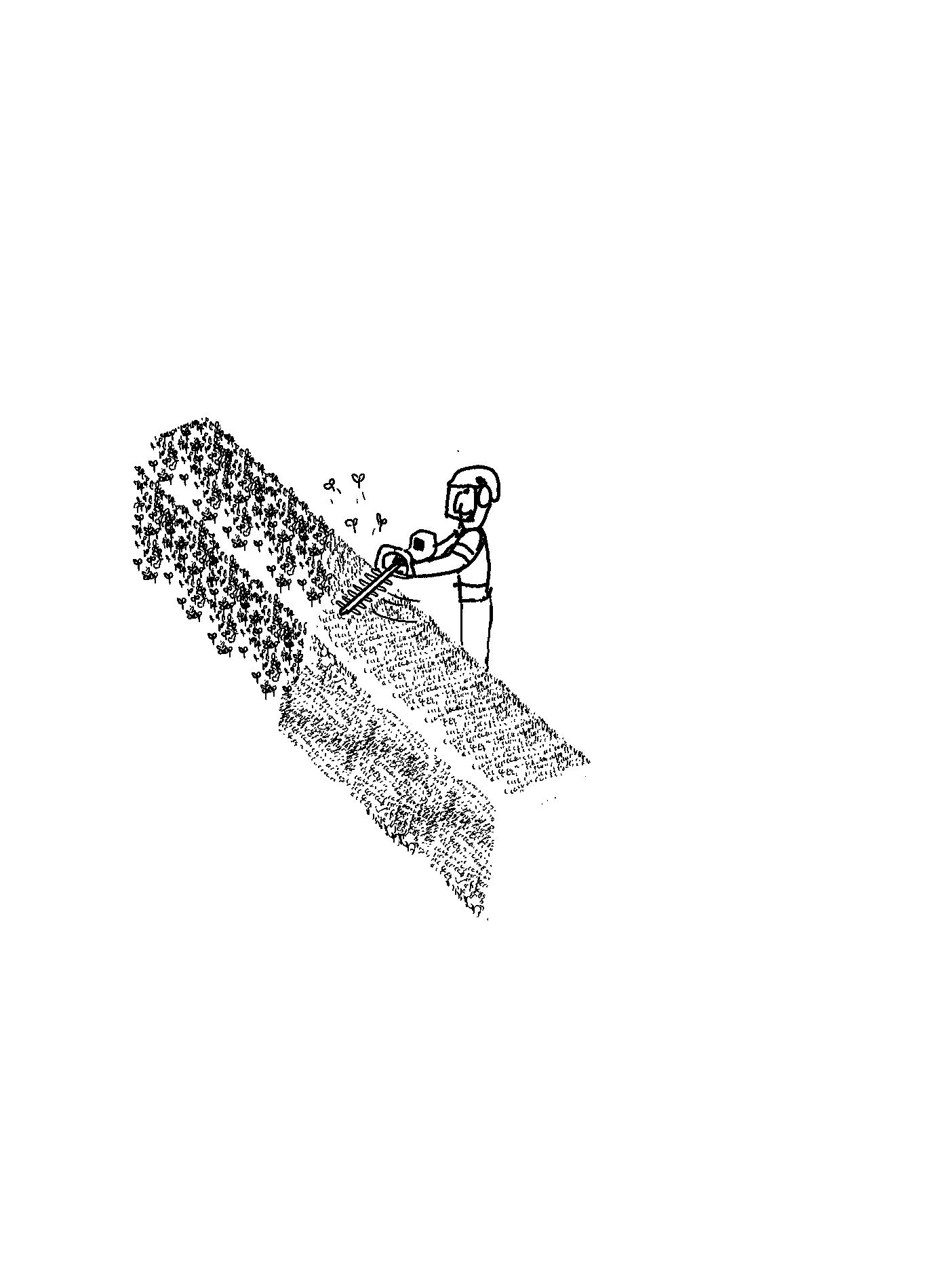 Hedge trimming drawings Gus Bishop