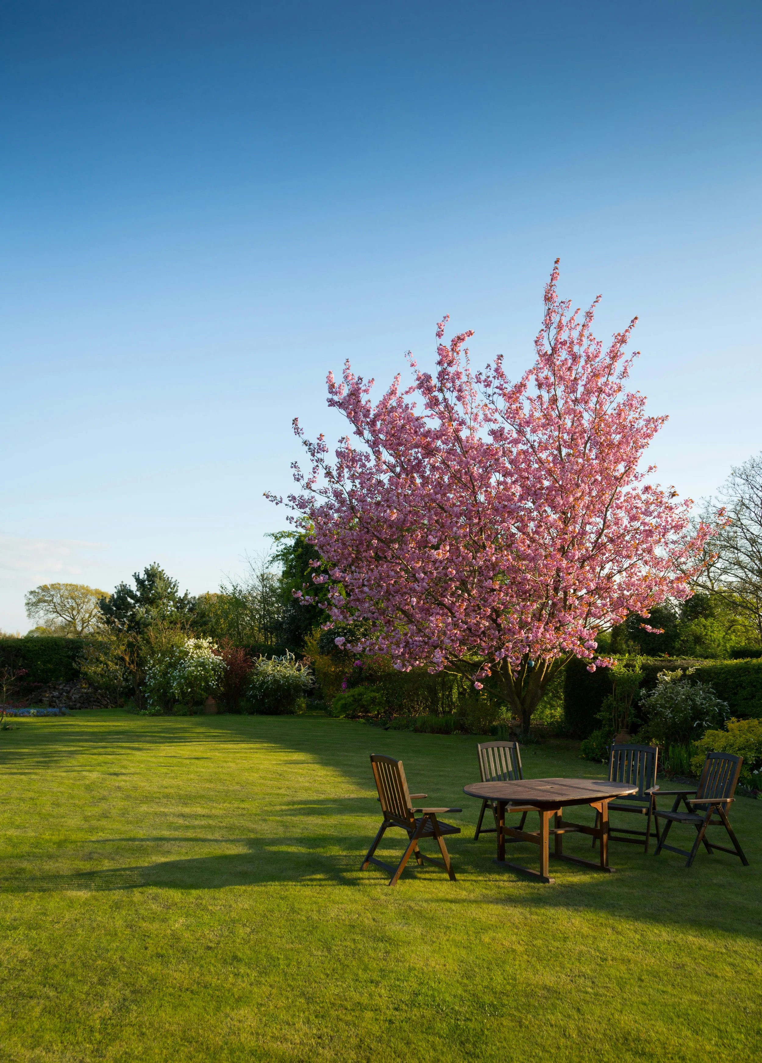 Summer Garden Clearance: Why Now is the Best Time to Reclaim Your View (and Property Value)