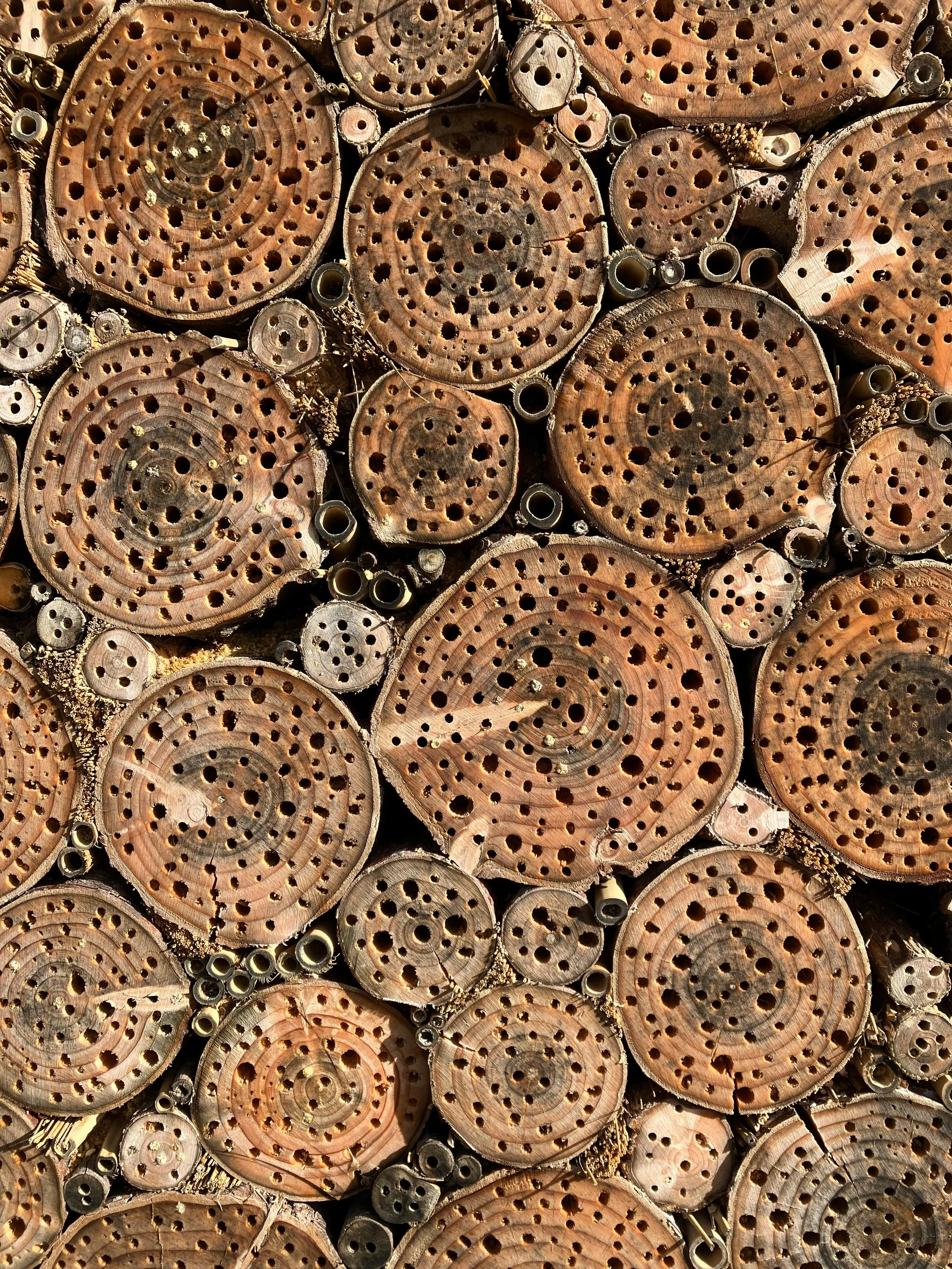 Creating ‘Habitat Piles’: A Guide to Sustainable Garden Waste