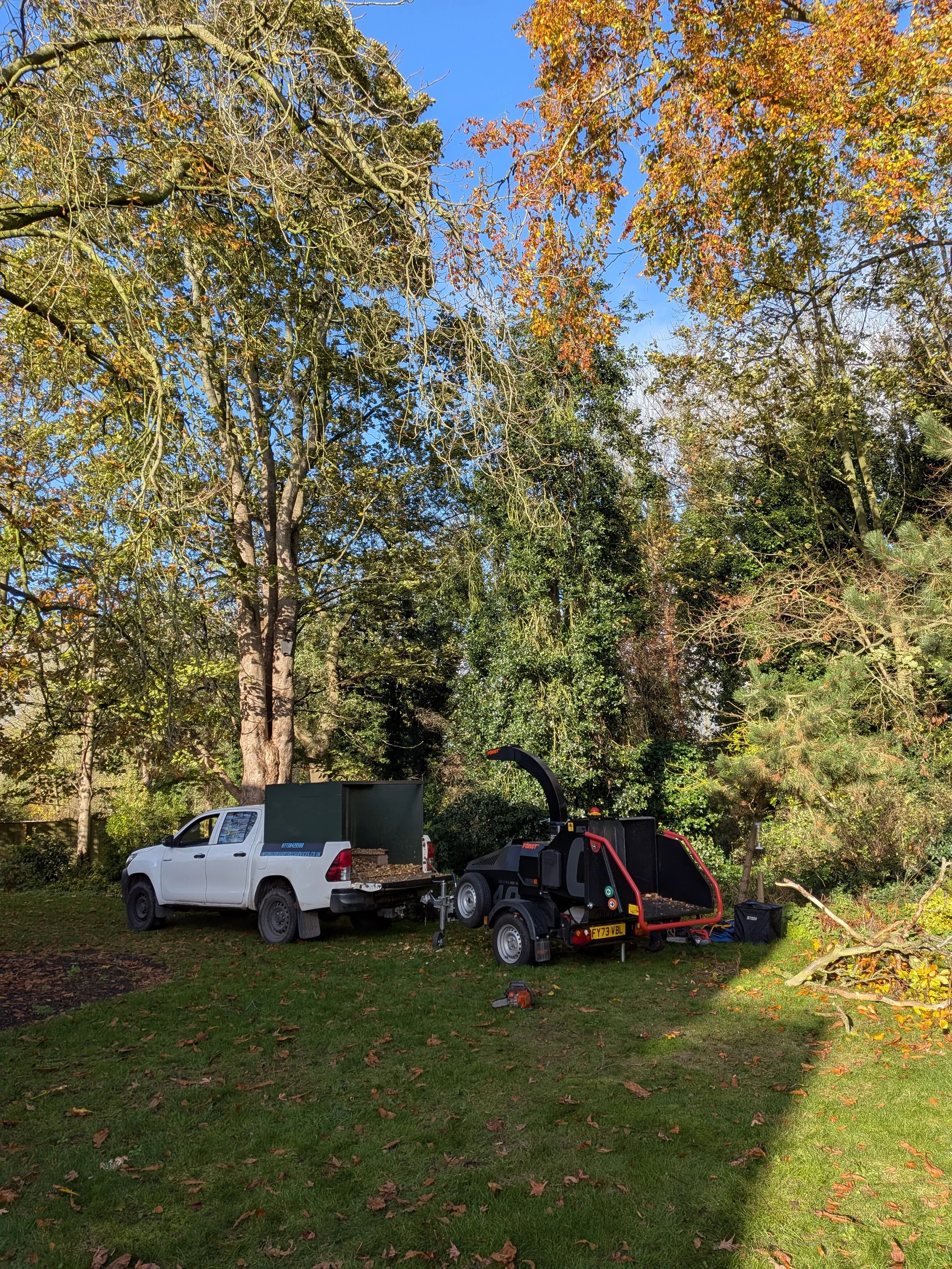 gus bishop tree services work car